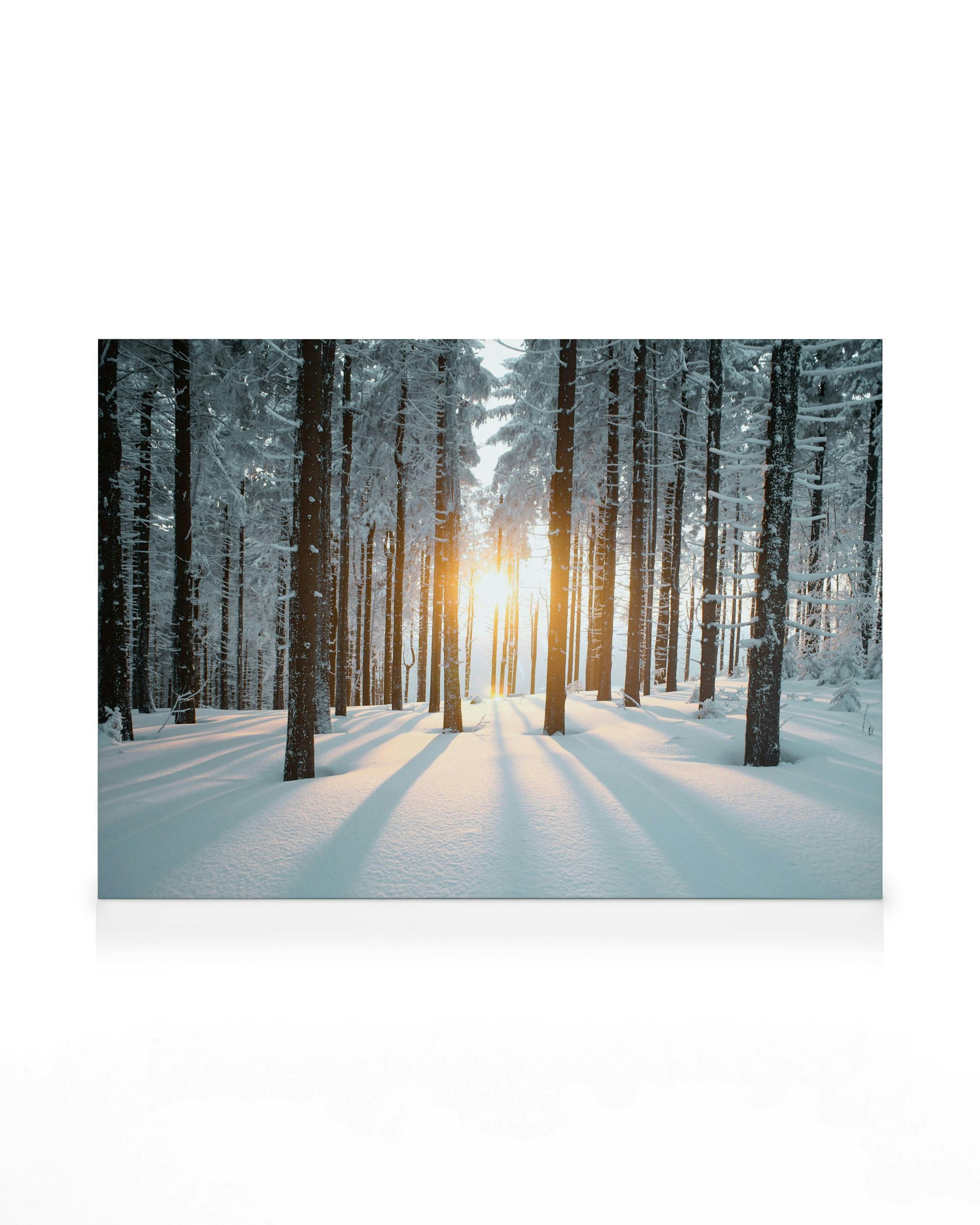 Rayon de Soleil en Forêt Toile 0