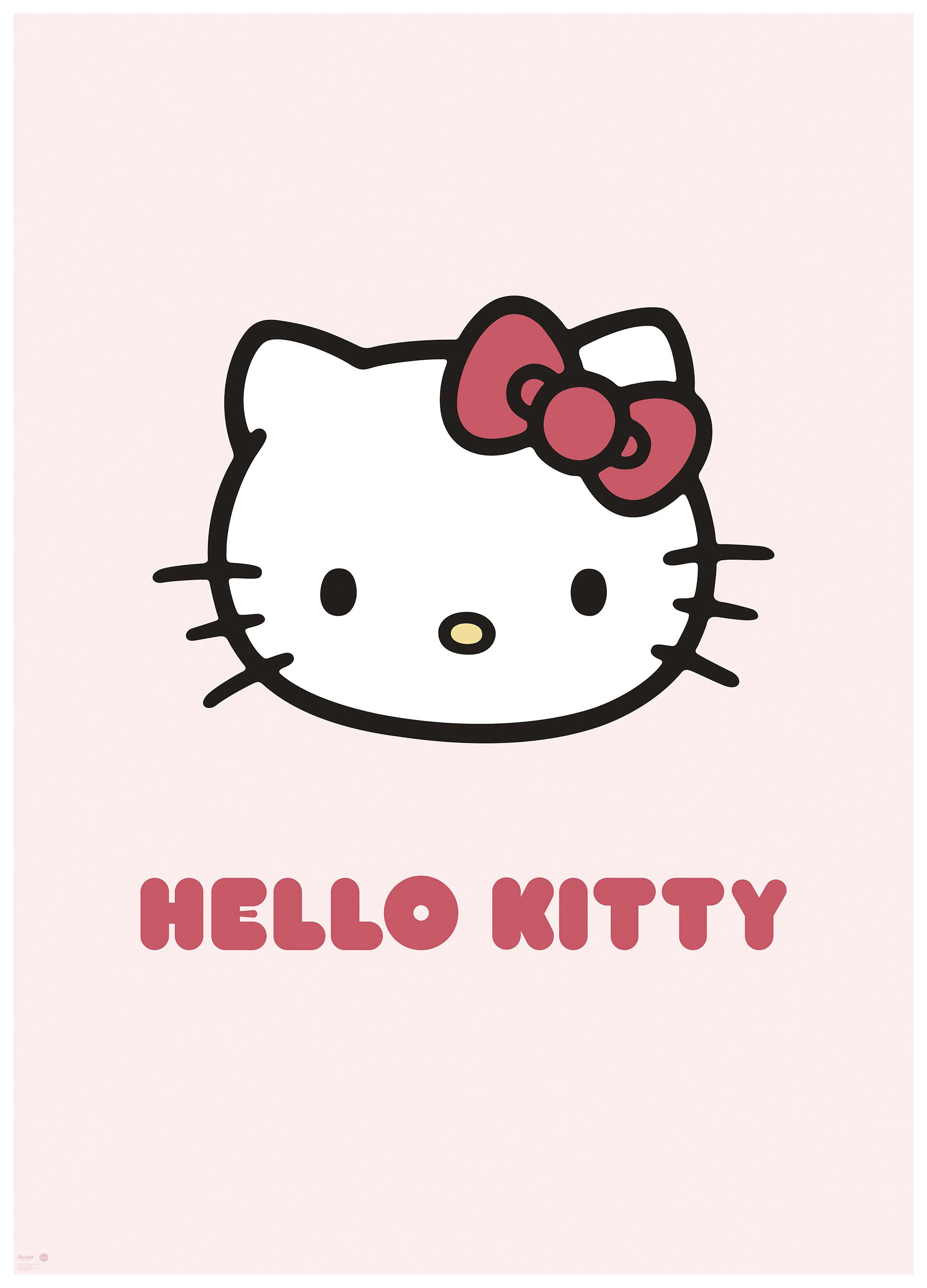 Hello Kitty - Pretty in Pink Poster (30x40 cm) - Poster Store