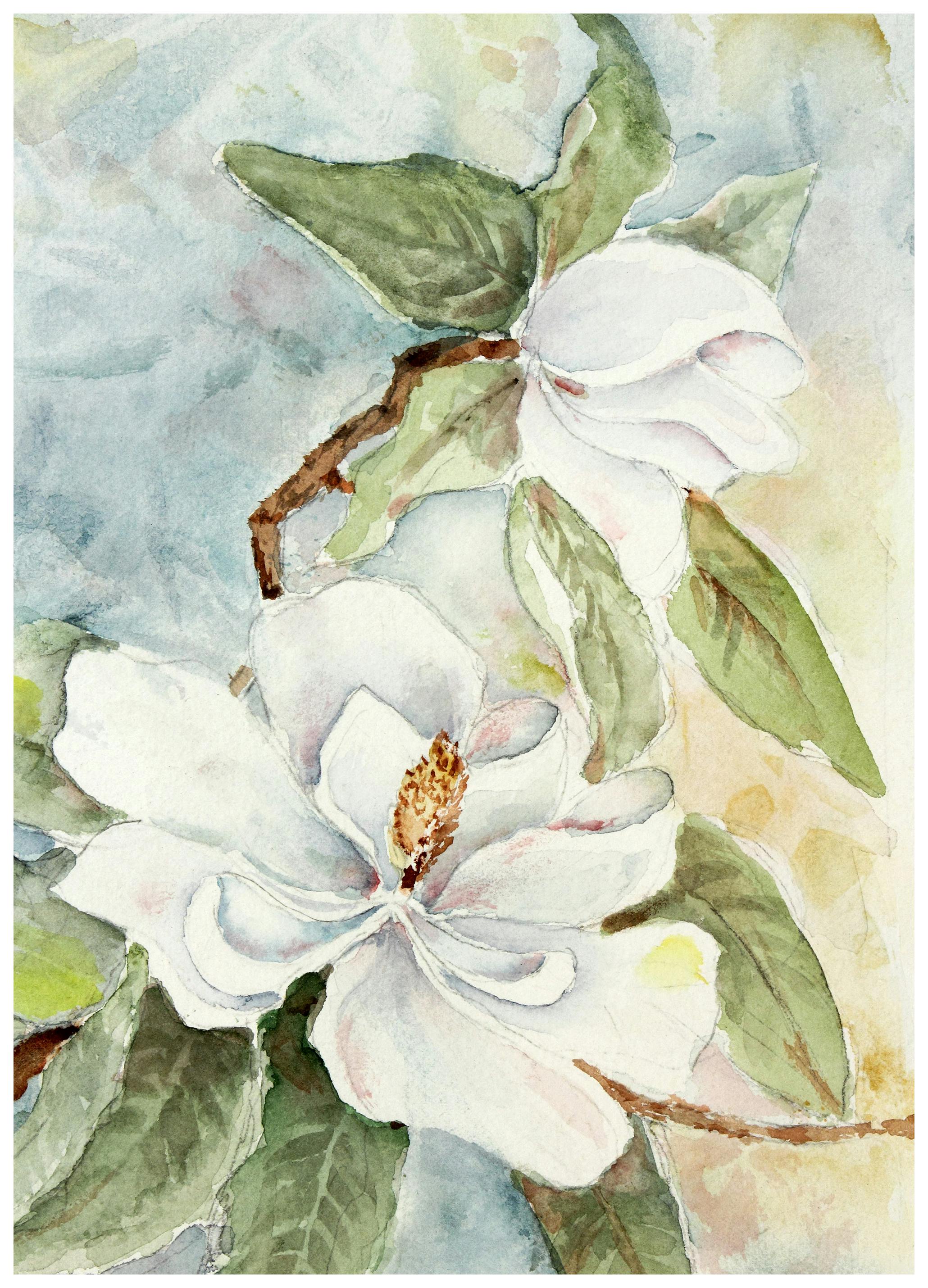 White Magnolia Poster (50x70 cm) - Poster Store