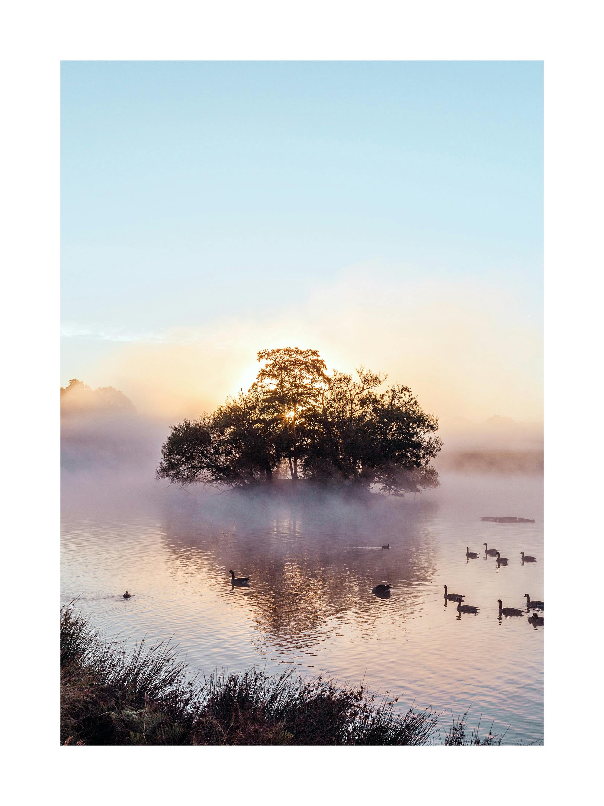 Sunrise Over Misty Pond Poster 0
