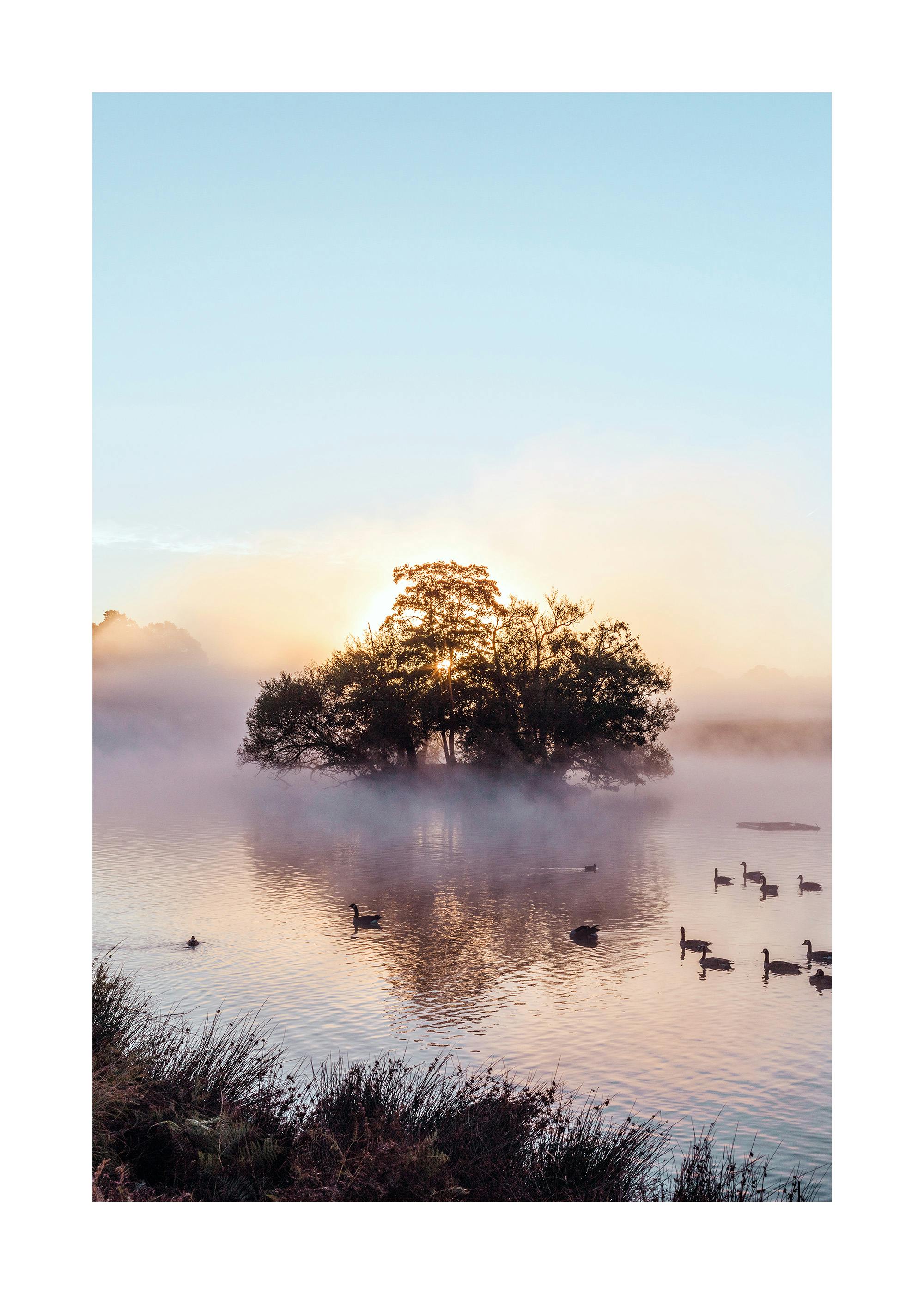 Sunrise Over Misty Pond Poster 0