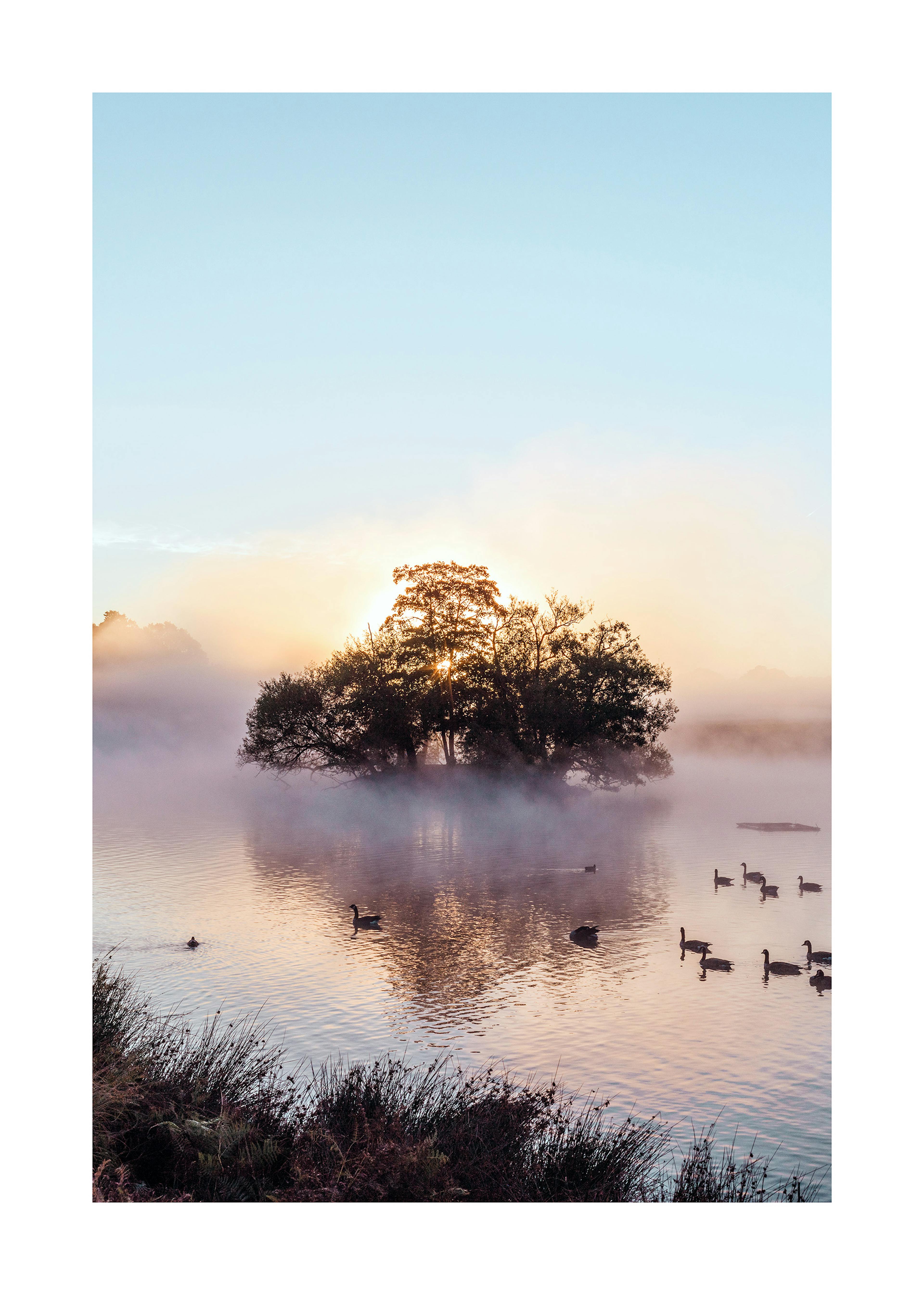 Sunrise Over Misty Pond Poster 0