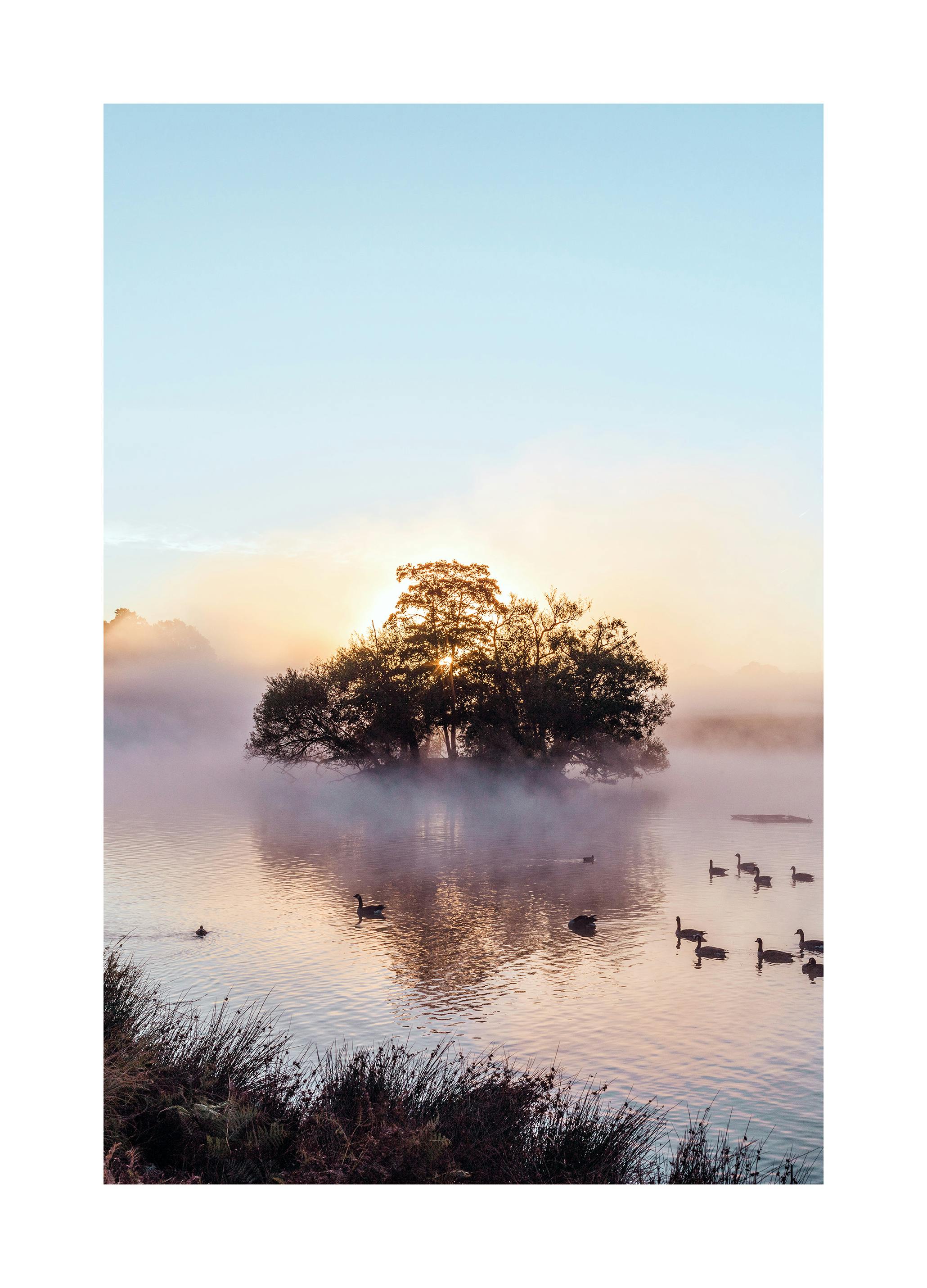 Sunrise Over Misty Pond Poster (50x70 cm) - Poster Store