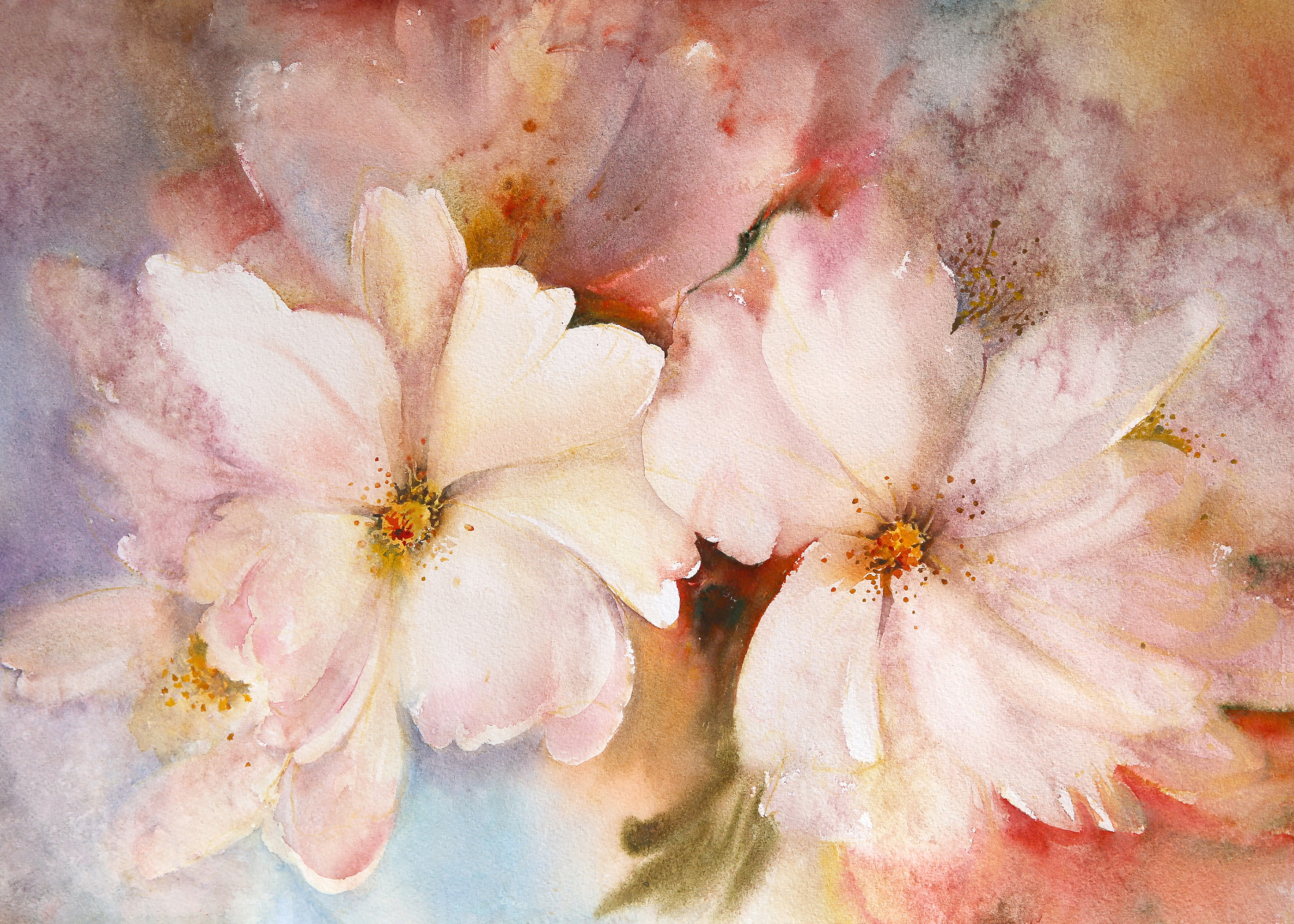 Cherry Blossom Watercolor Flower Poster | Poster Store CA