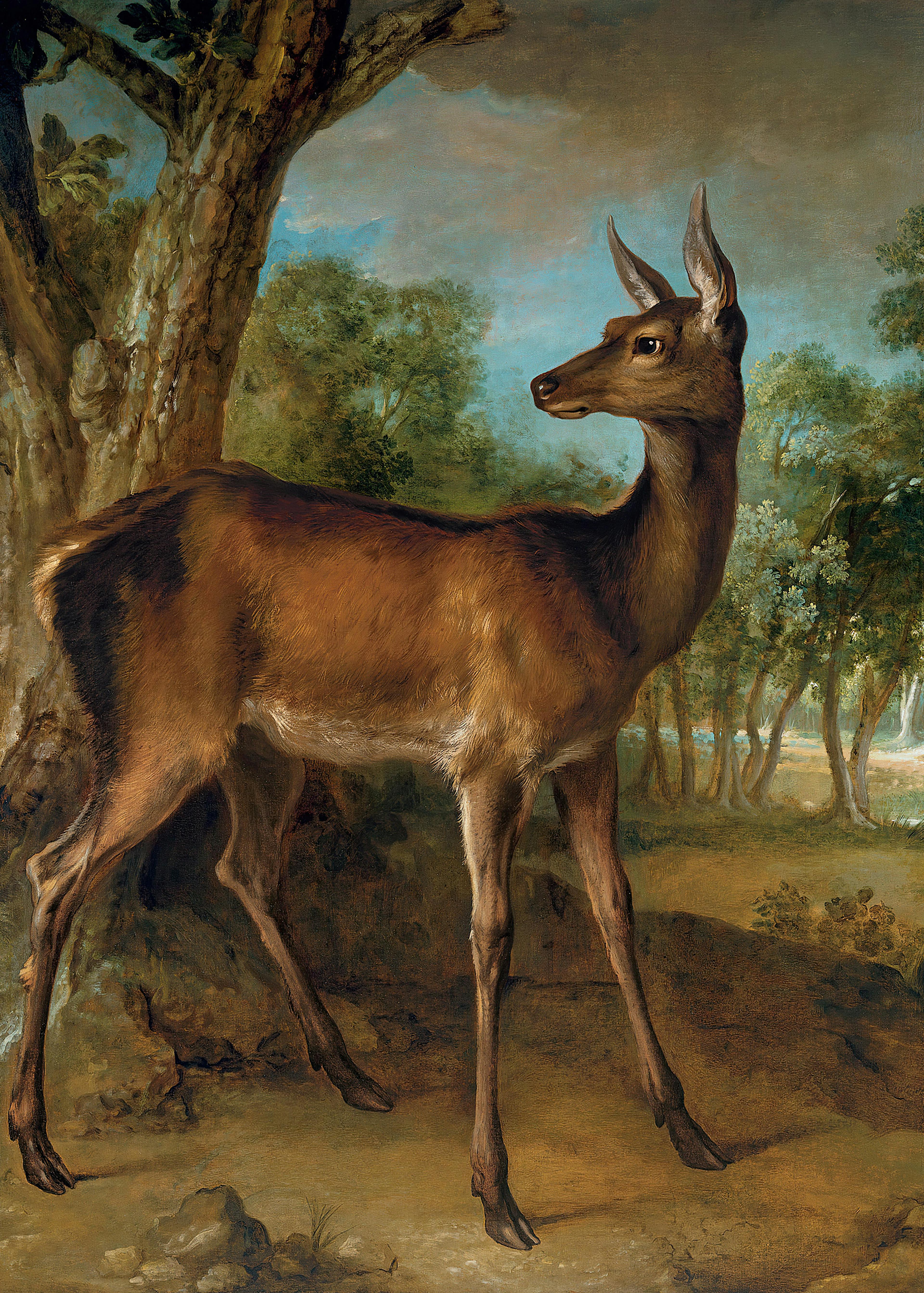 Jean-Baptiste Oudry - De Waakzame Hinde Poster 0