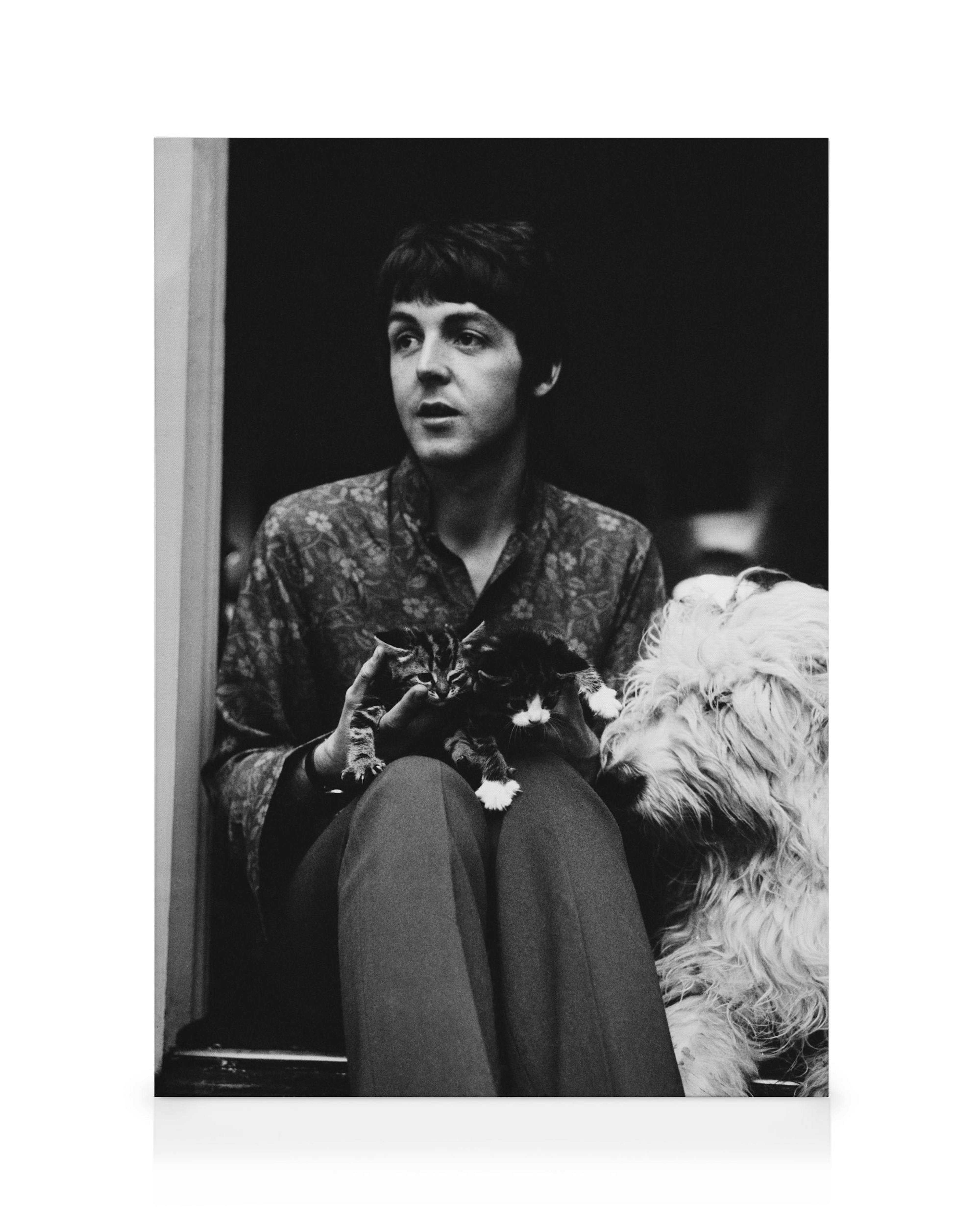 Paul McCartney Leinwandbild 0