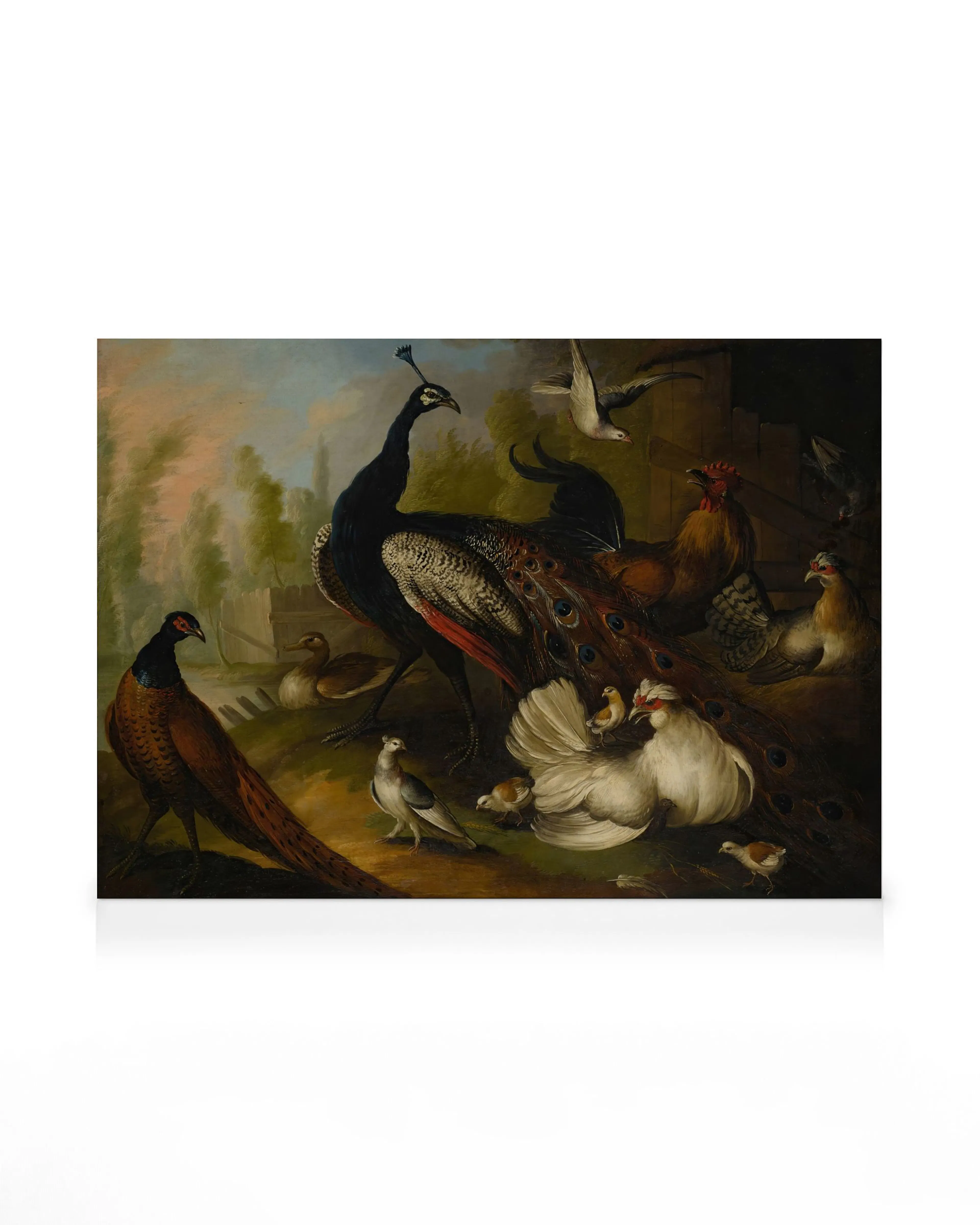 Marmaduke Cradock - An Assembly of Birds Canvas print 0