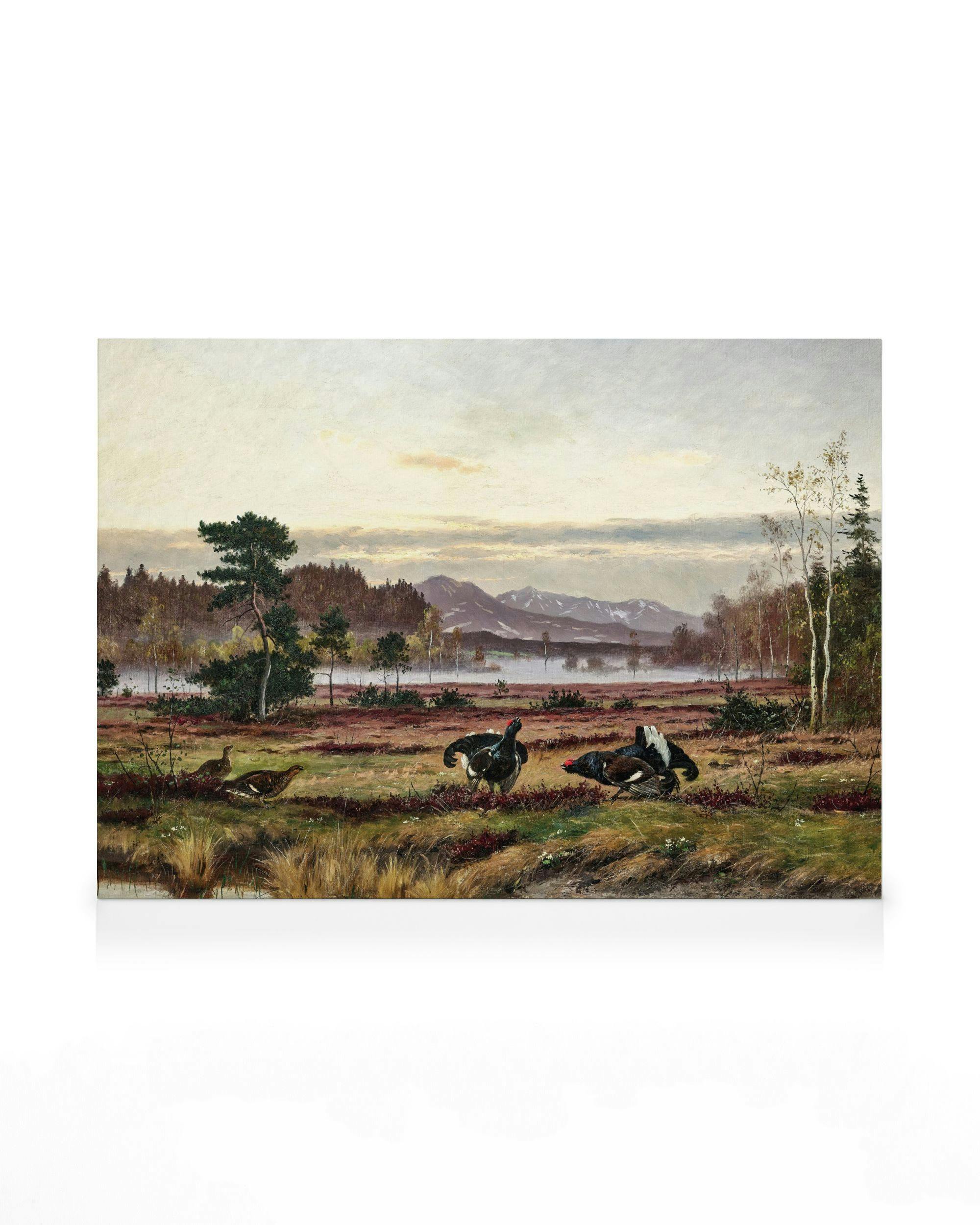 Otto Recknagel - Black Grouse Courtship Canvas print 0