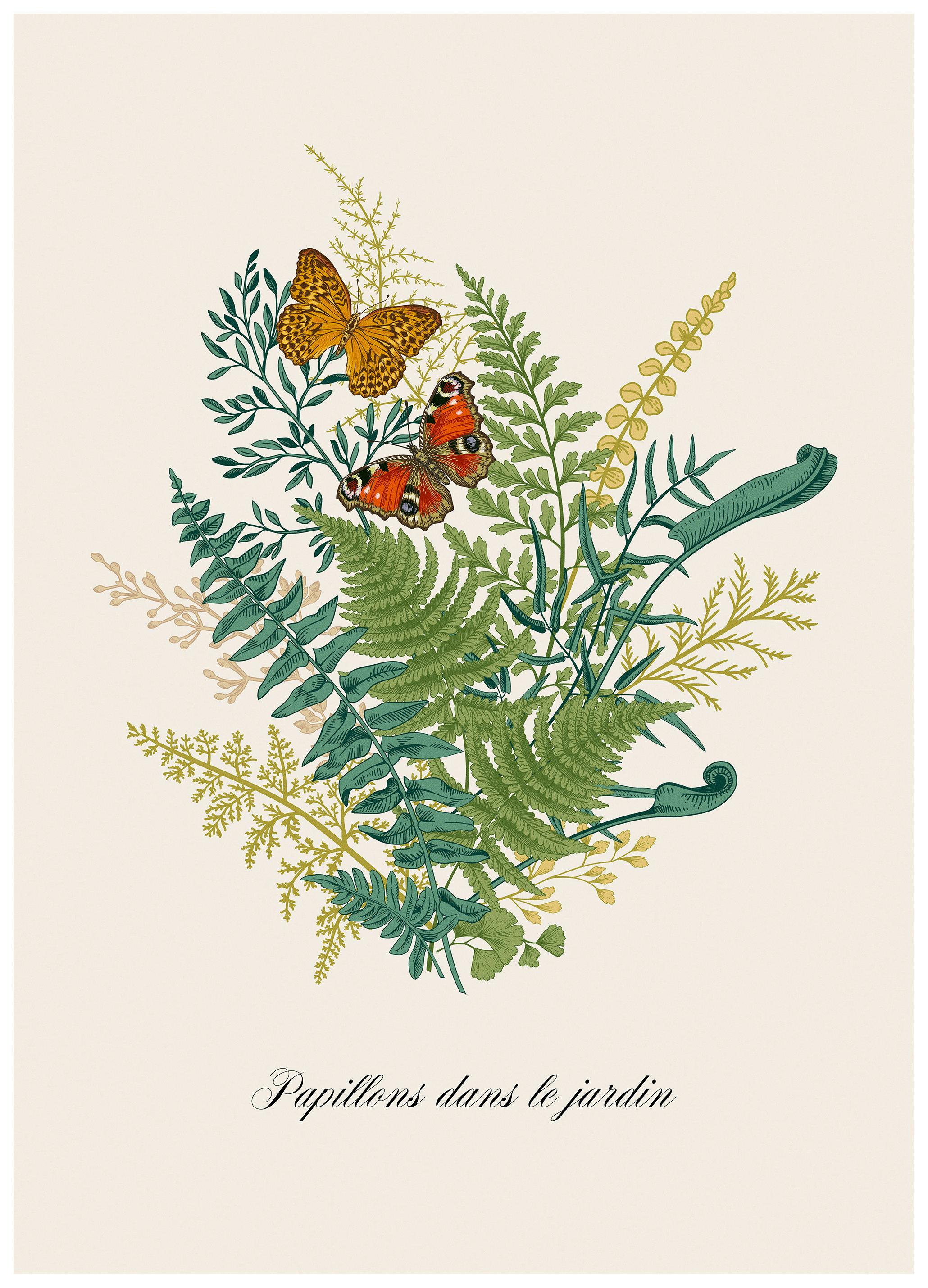 Papillons dans le Jardin Poster (50x70 cm) - Poster Store