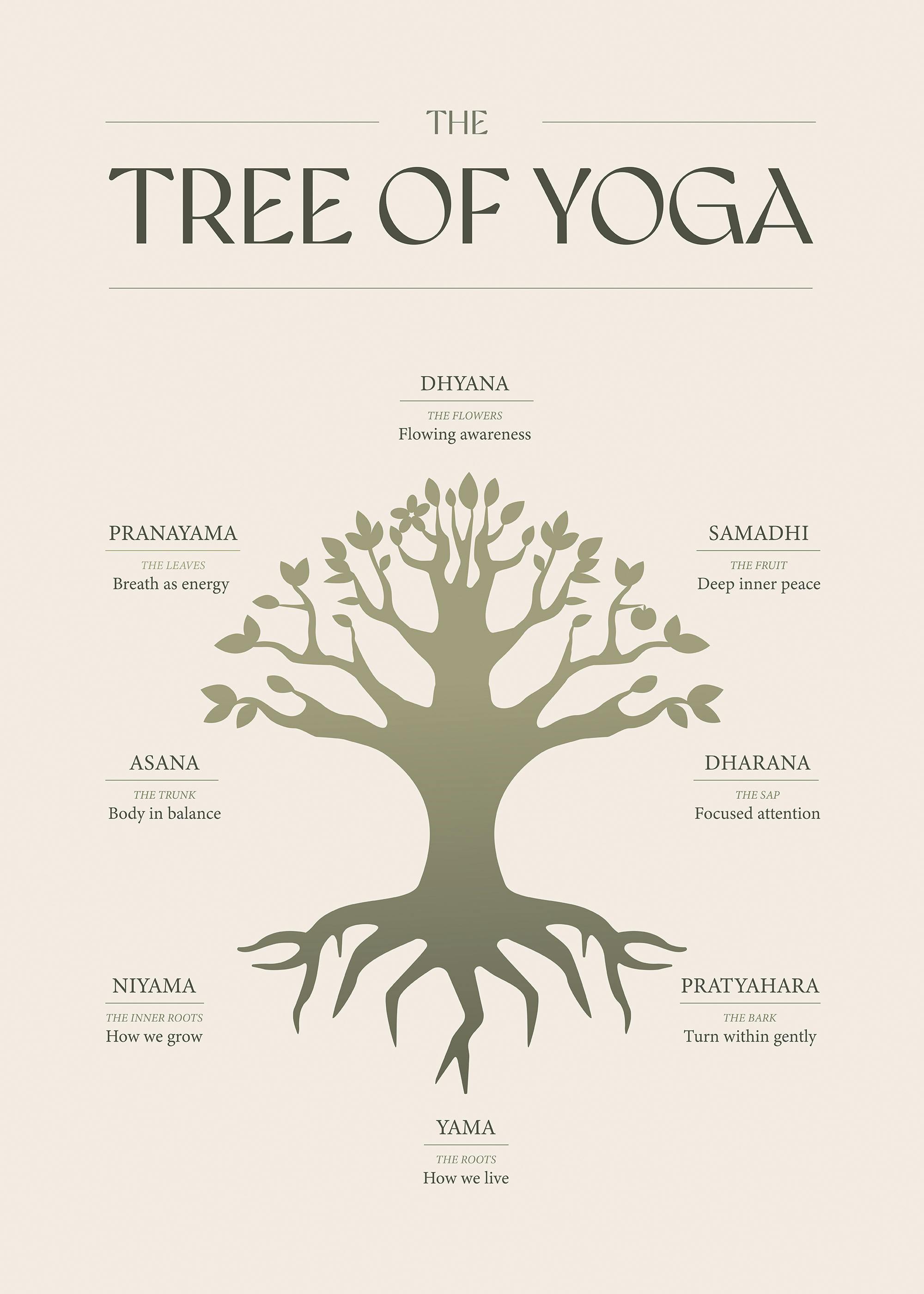 ヨガの木 ポスター 0
