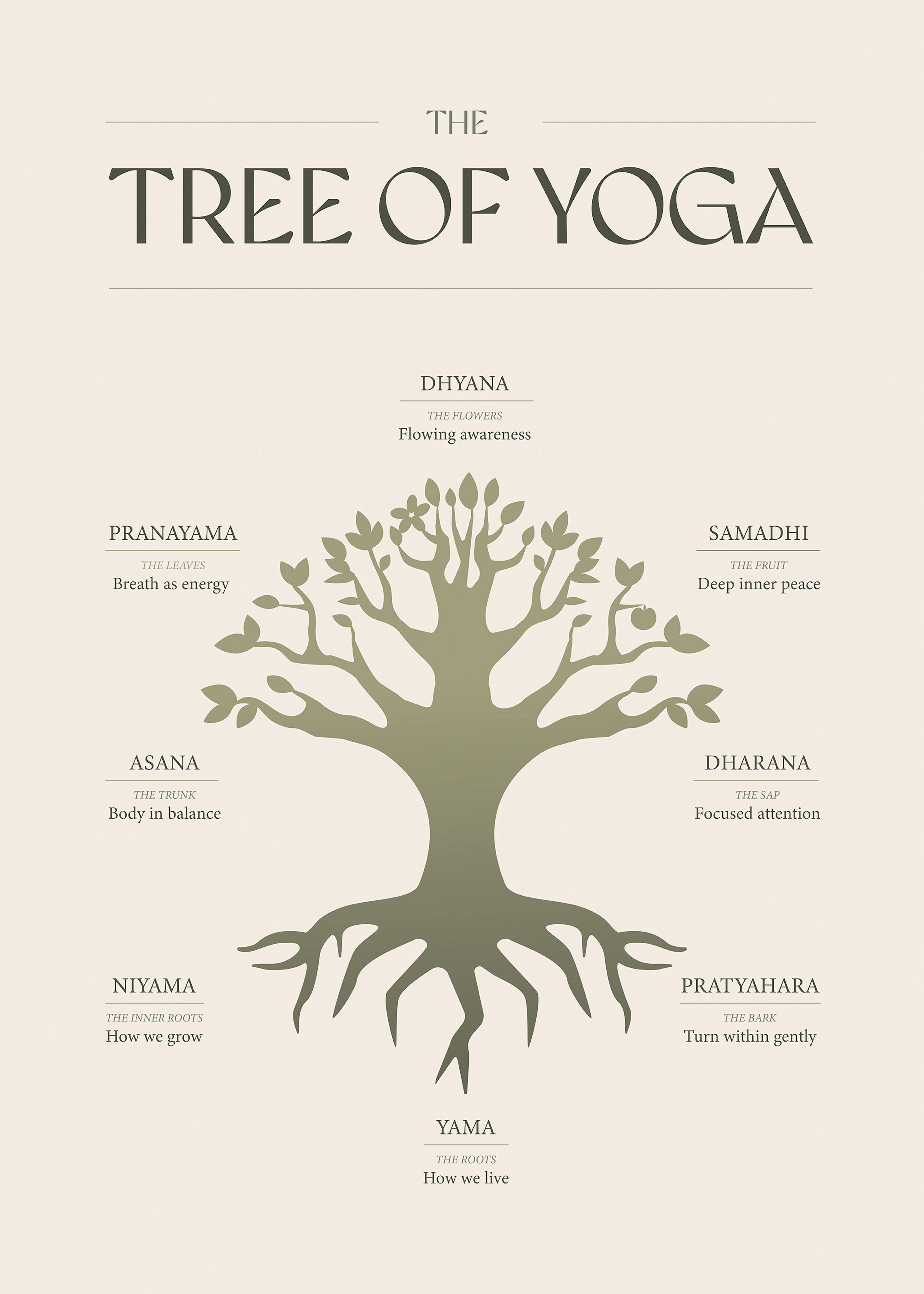 ヨガの木 ポスター 0