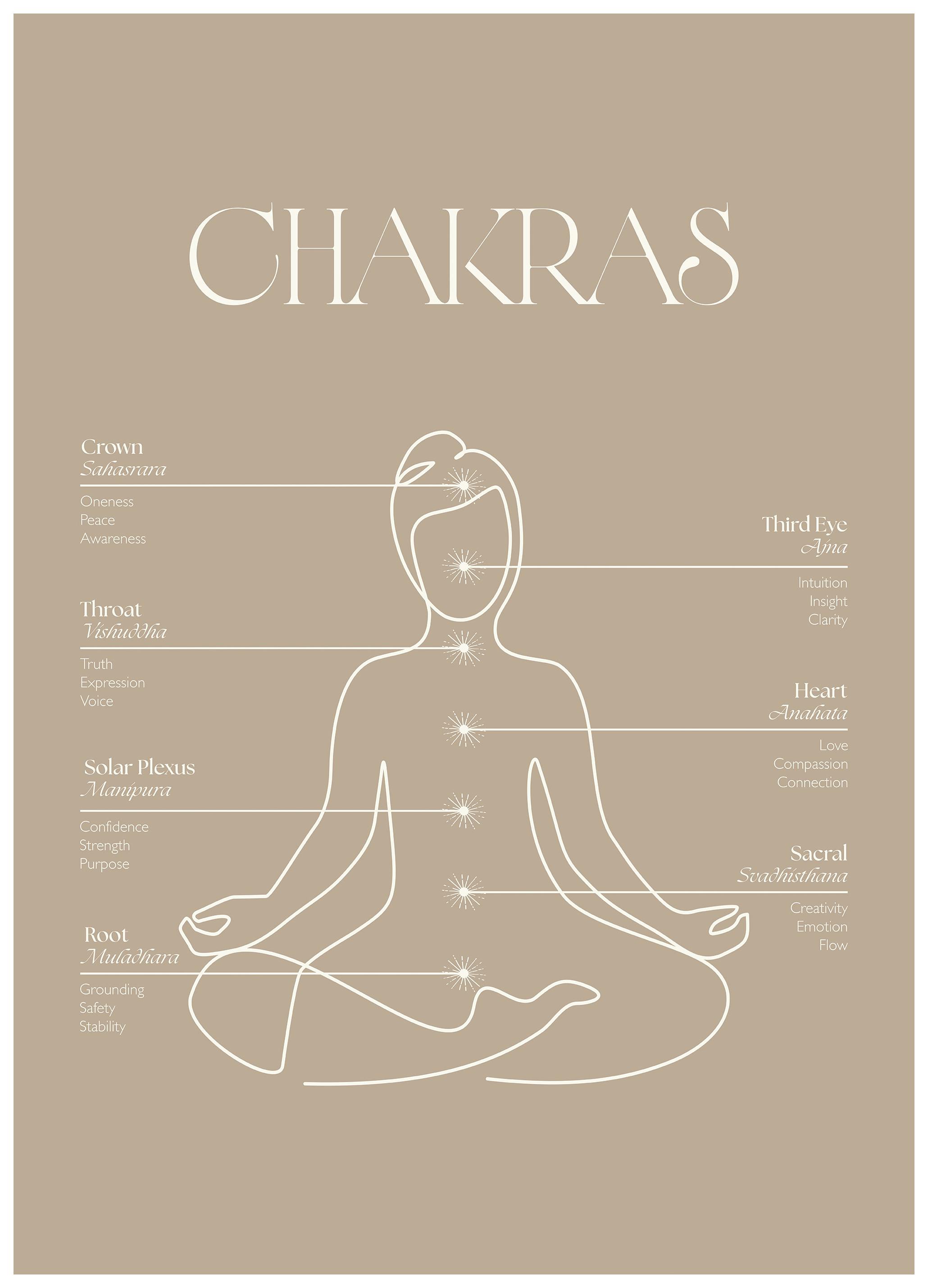 Chakras Poster (50x70 cm) - Poster Store