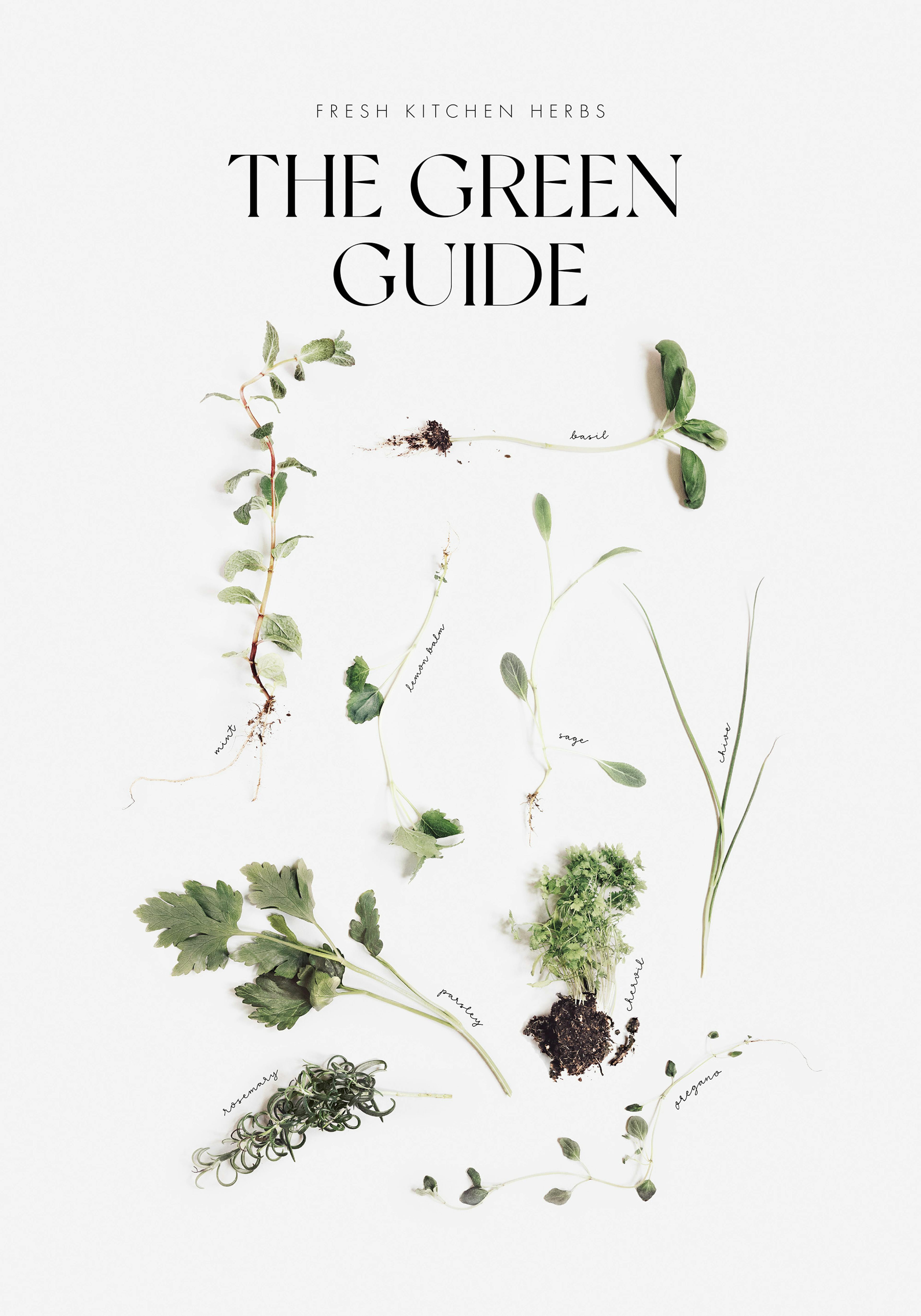 A poster featuring fresh kitchen herbs: mint, basil, lemon balm, sage, chive, parsley, rosemary, chervil and oregano.