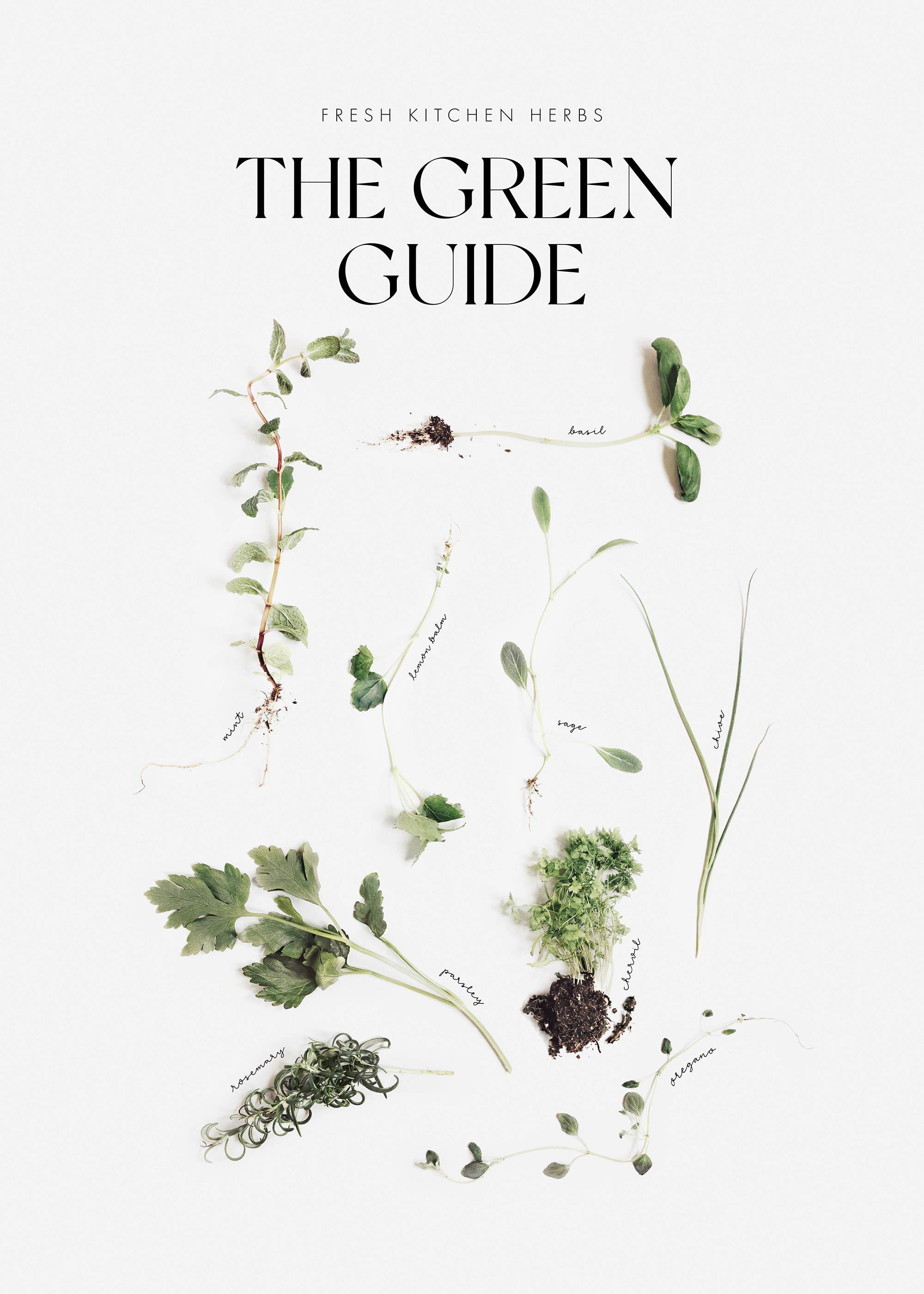 A poster featuring fresh kitchen herbs: mint, basil, lemon balm, sage, chive, parsley, rosemary, chervil and oregano.