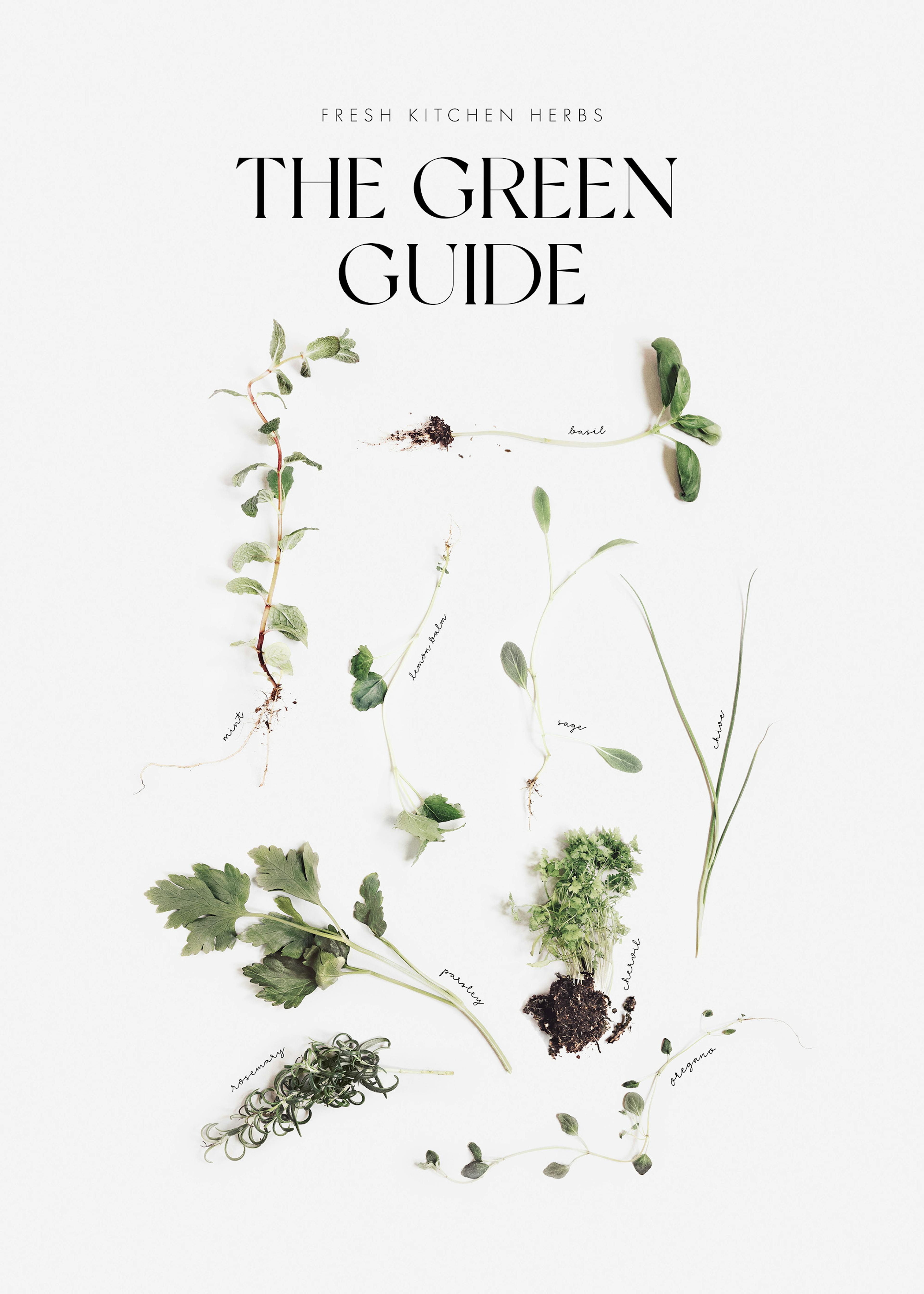 A poster featuring fresh kitchen herbs: mint, basil, lemon balm, sage, chive, parsley, rosemary, chervil and oregano.