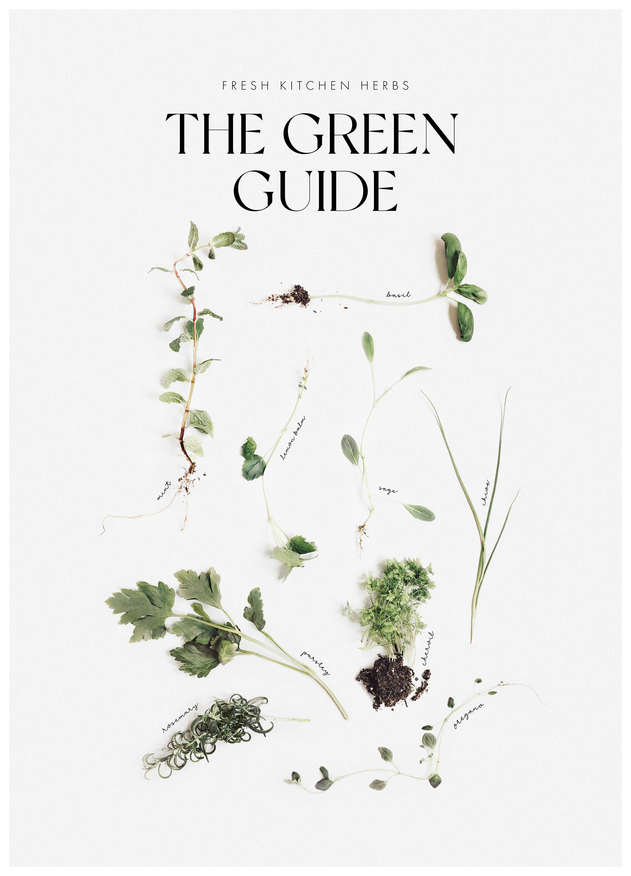 De Groene Gids Poster (50x70 cm) - Poster Store