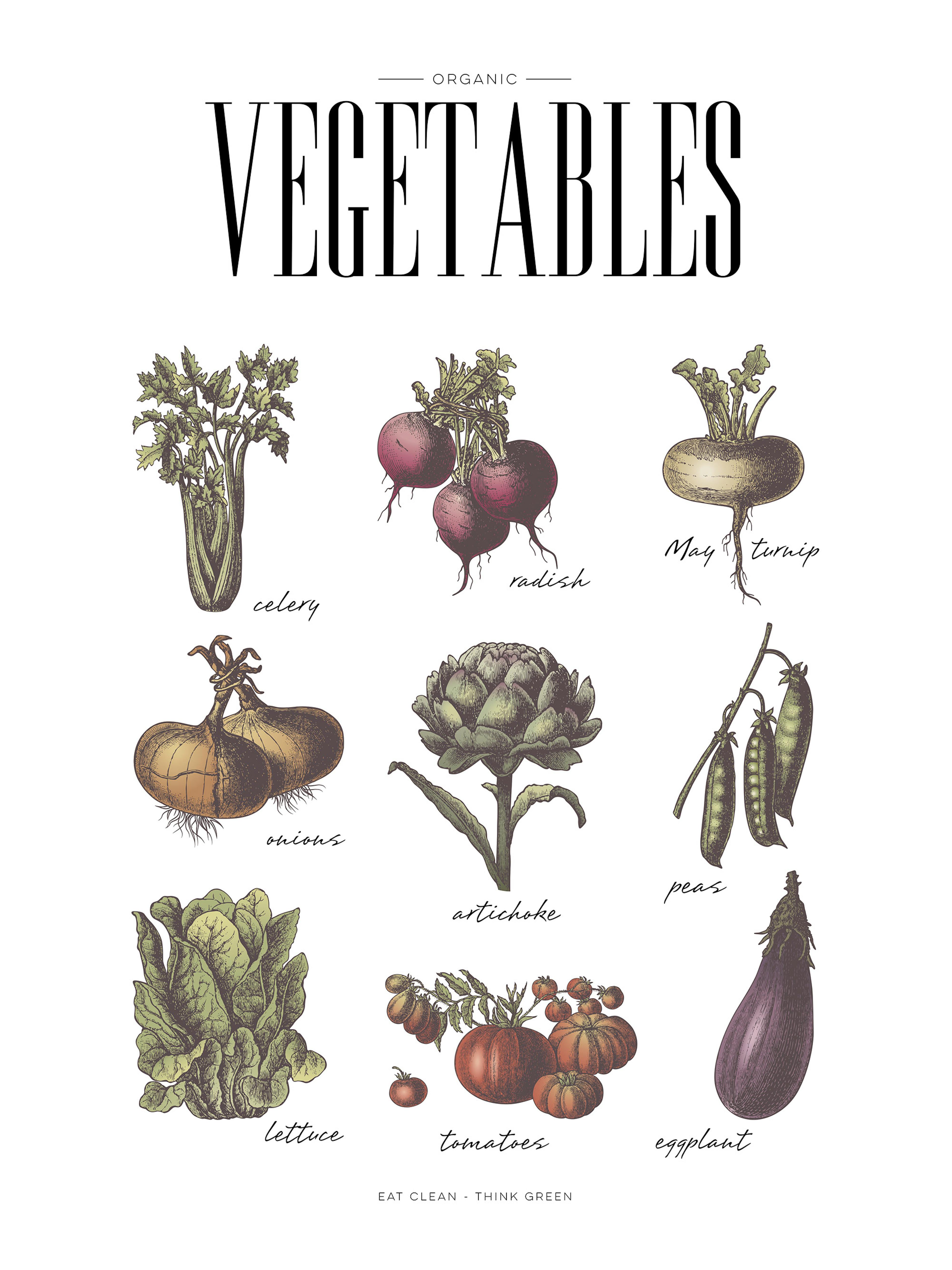 A poster featuring nine hand-drawn vegetables: celery, radish, turnip, onions, artichoke, peas, lettuce, tomatoes, and eggplant.