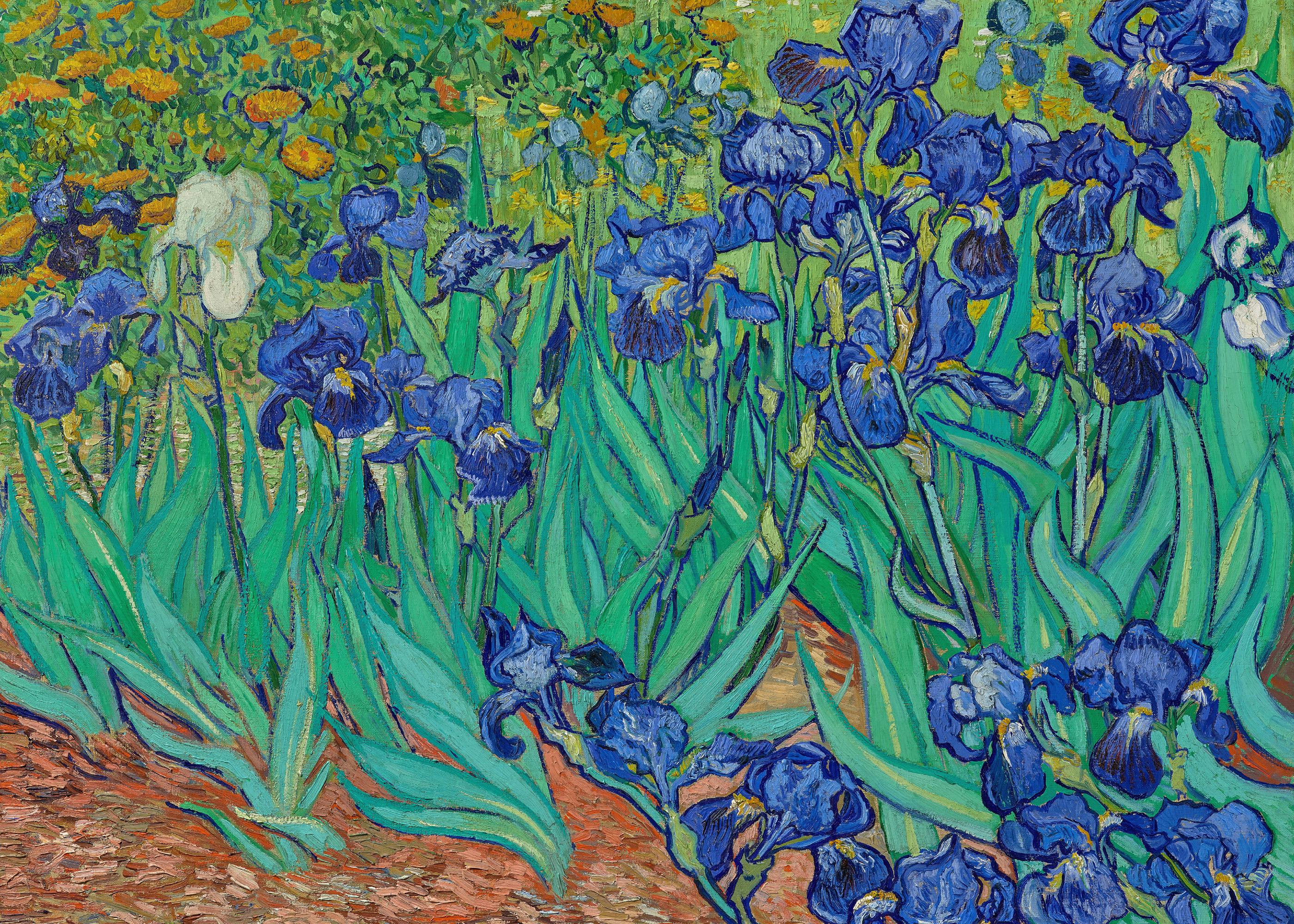 Van Gogh - Les Iris, 1889 Poster 0