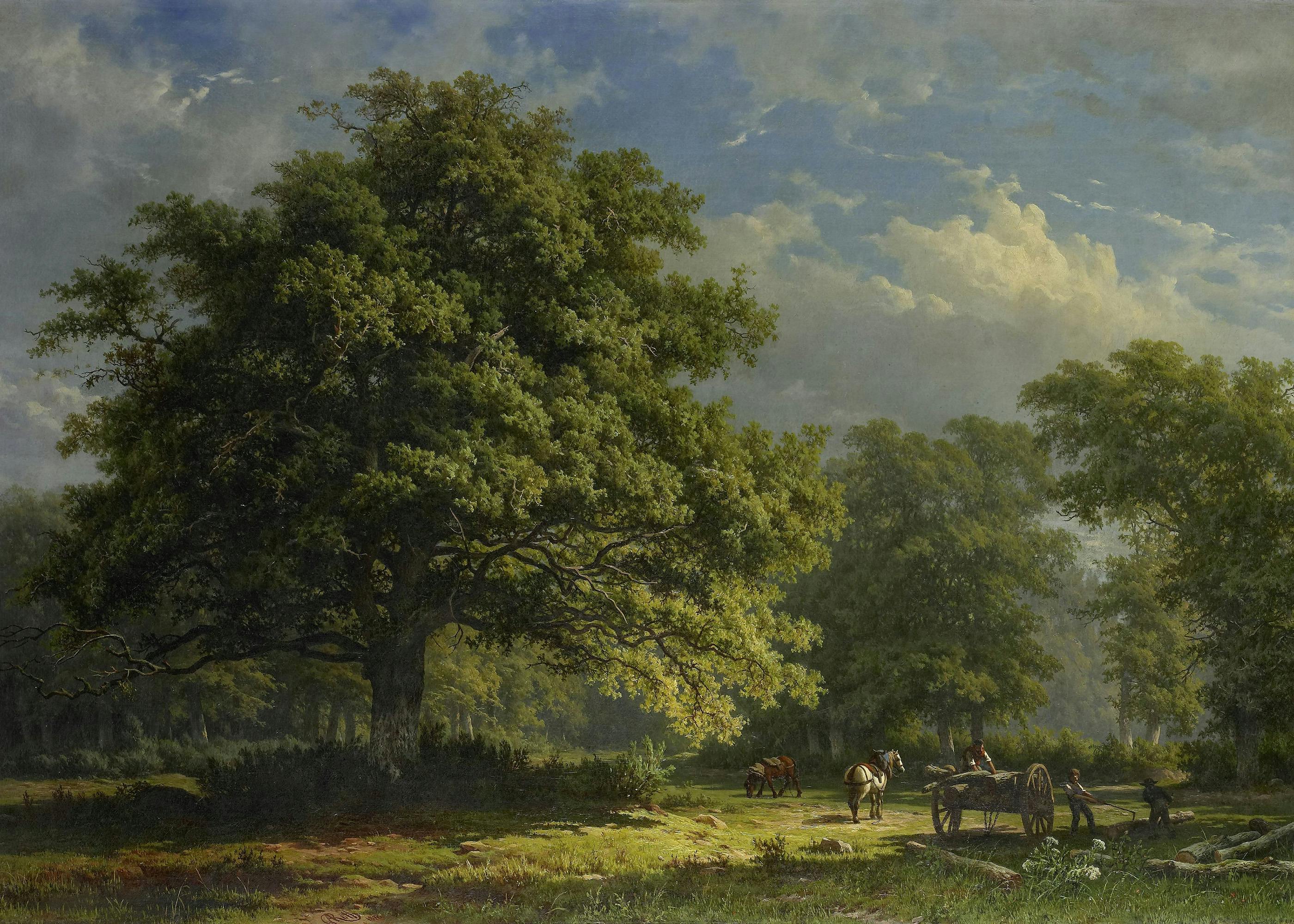 George Andries Roth - Utsikt i Bentheim-skogen Plakat 0