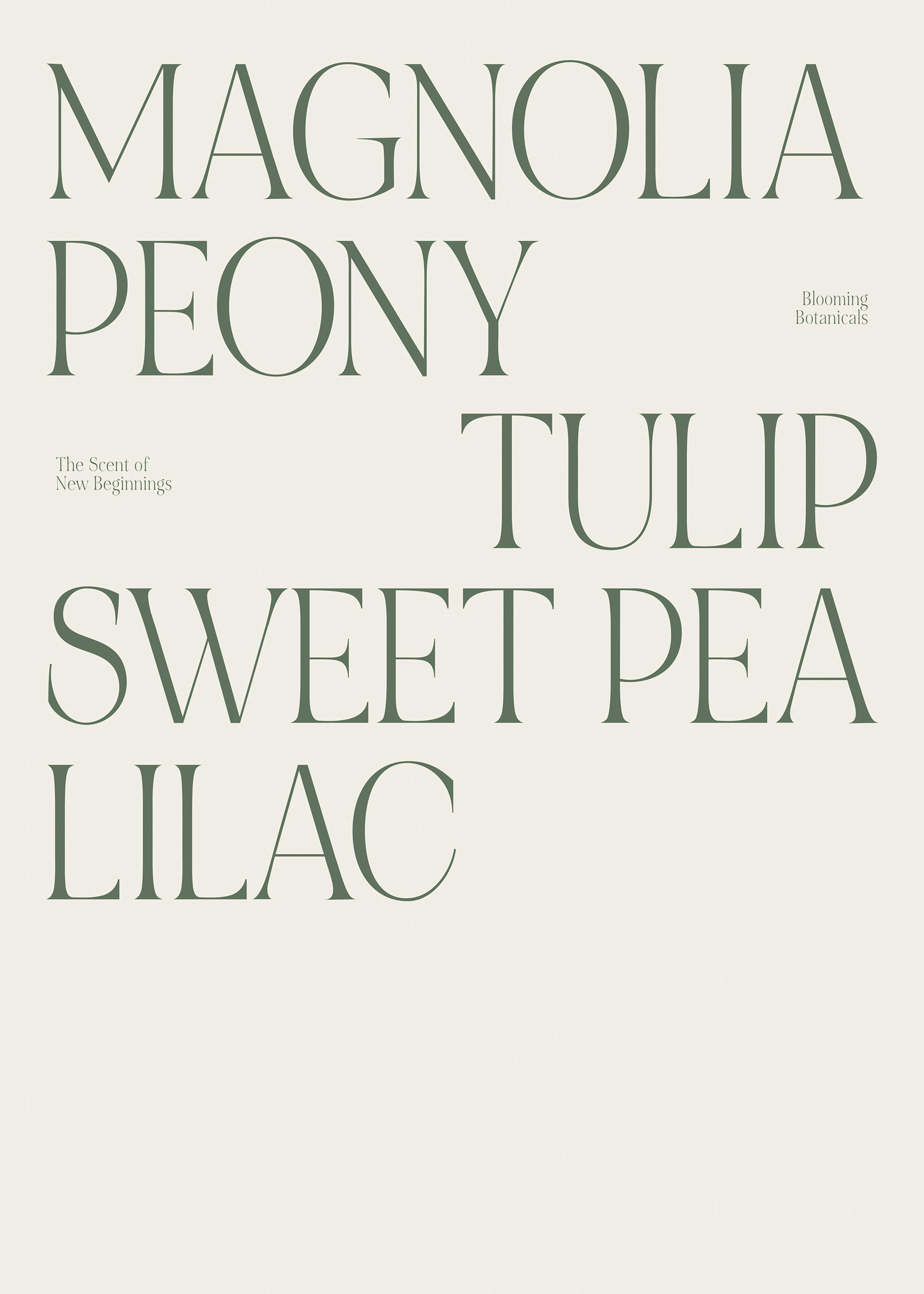 マグノリア ピオニー チューリップ ポスター 0