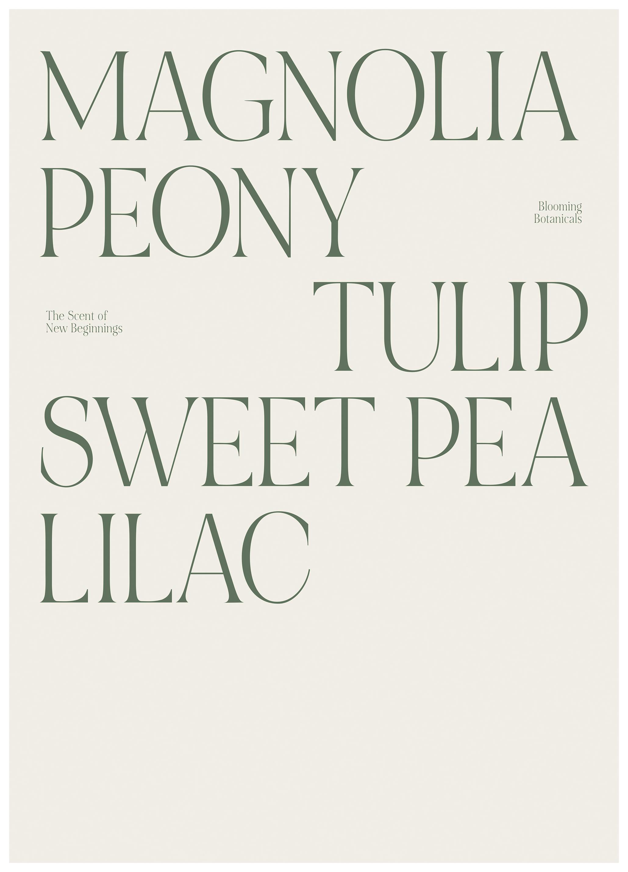 Magnolia Pion Tulipan Plakat (50x70 cm) - Poster Store