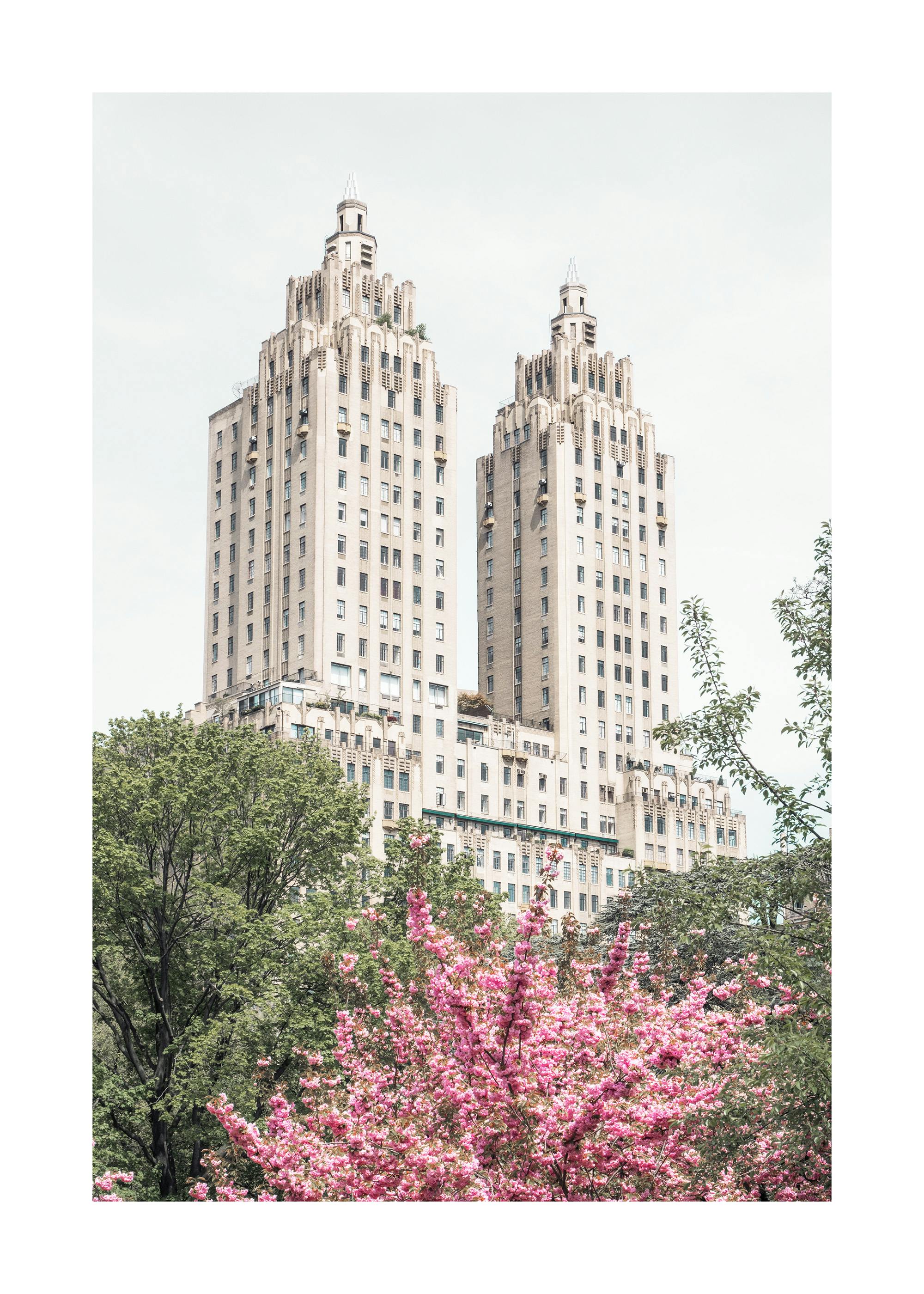 Spring in Central Park Poster 0