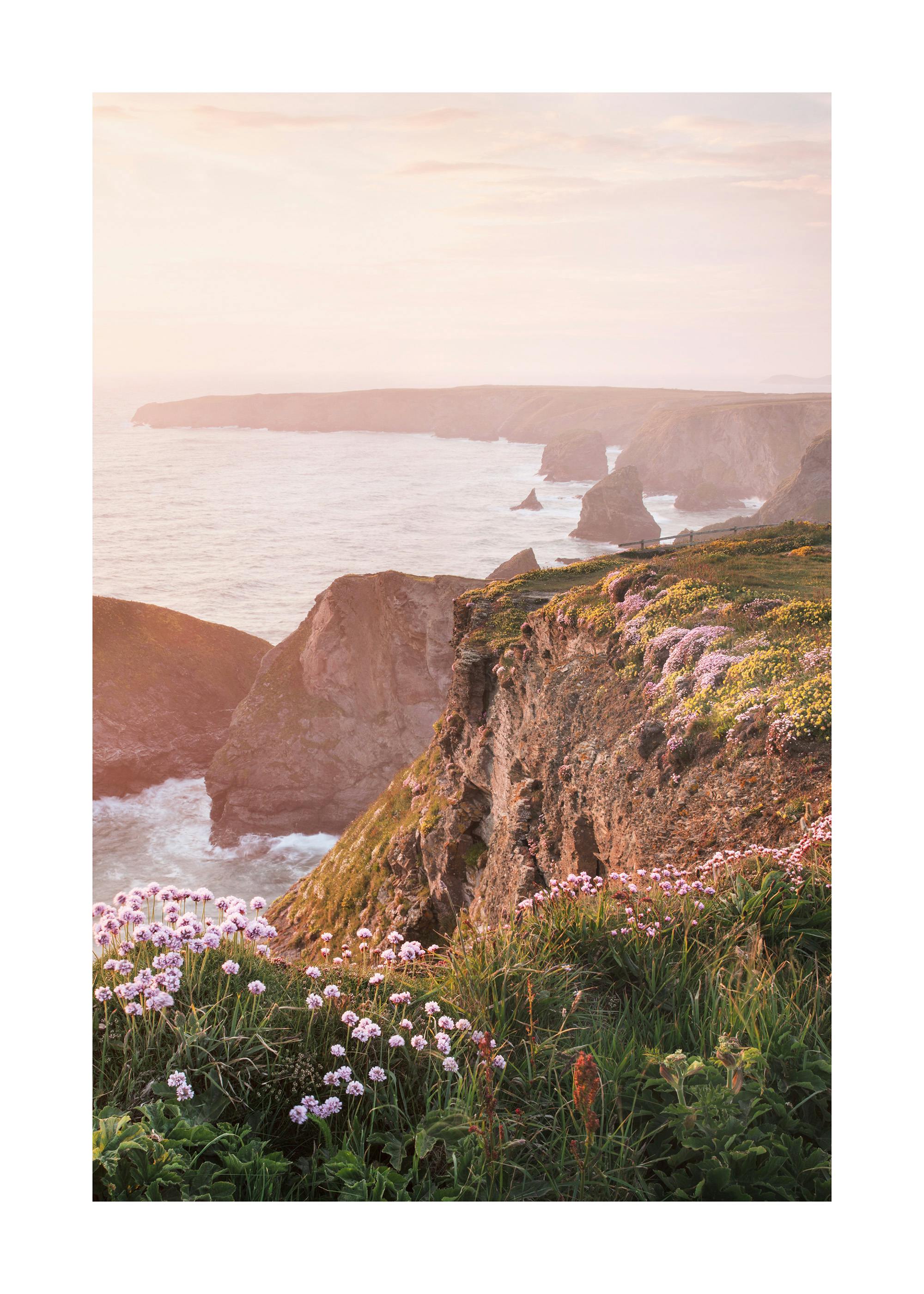 Coastal Floral Cliff Poster 0
