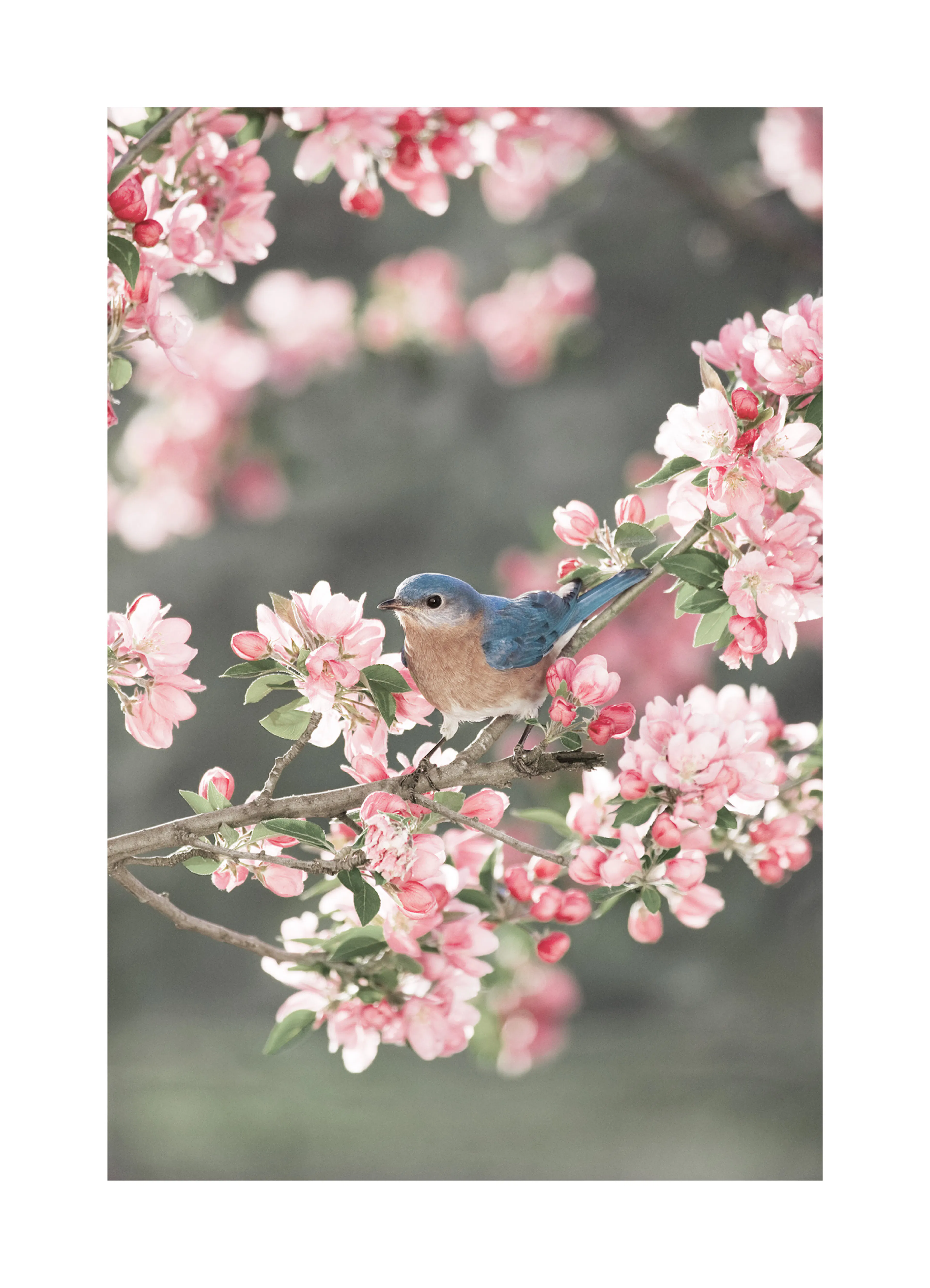 Product image: 1
