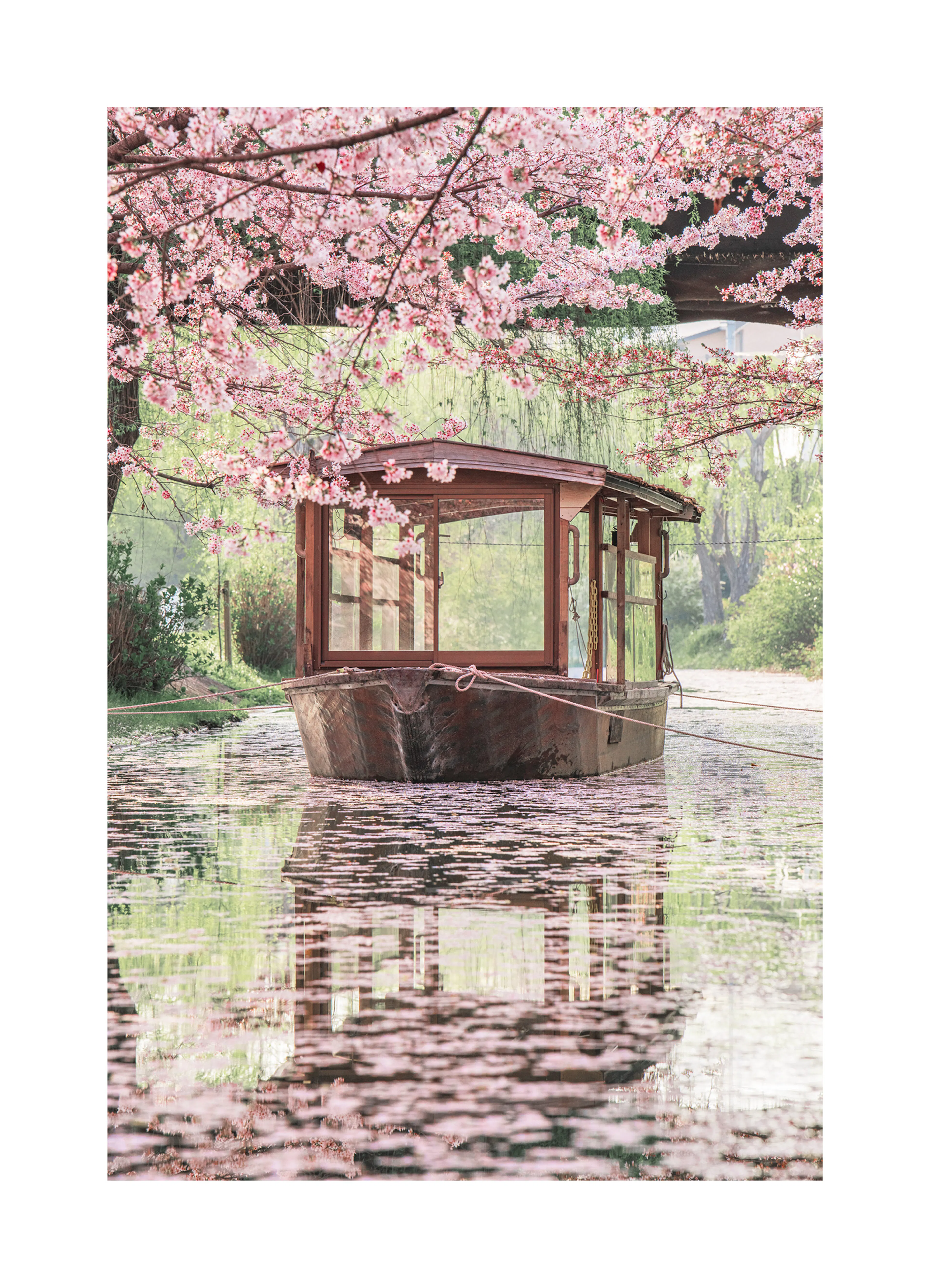 Product image: 1