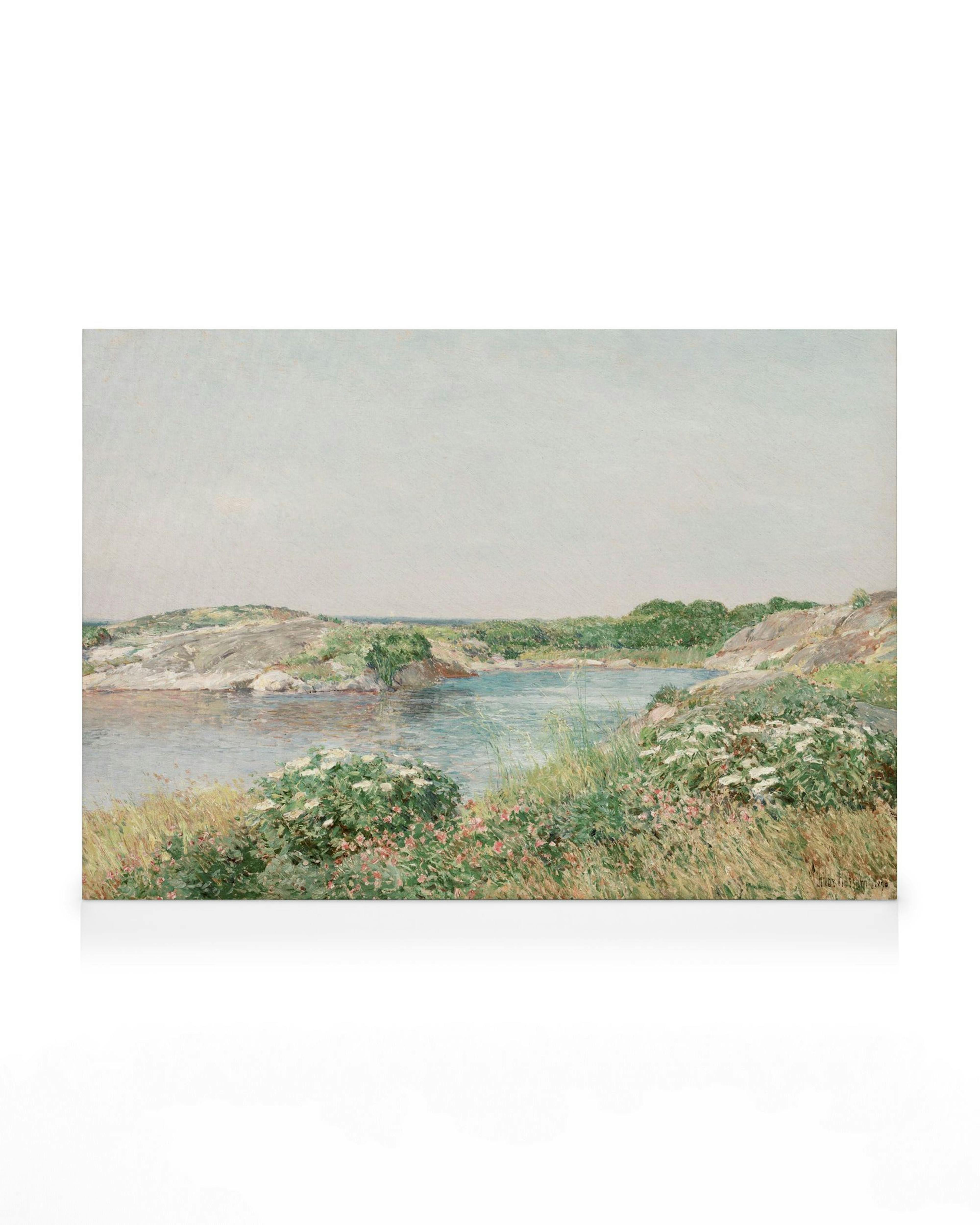 Toile dun paysage côtier avec un plan deau calme, des rochers et une végétation luxuriante.