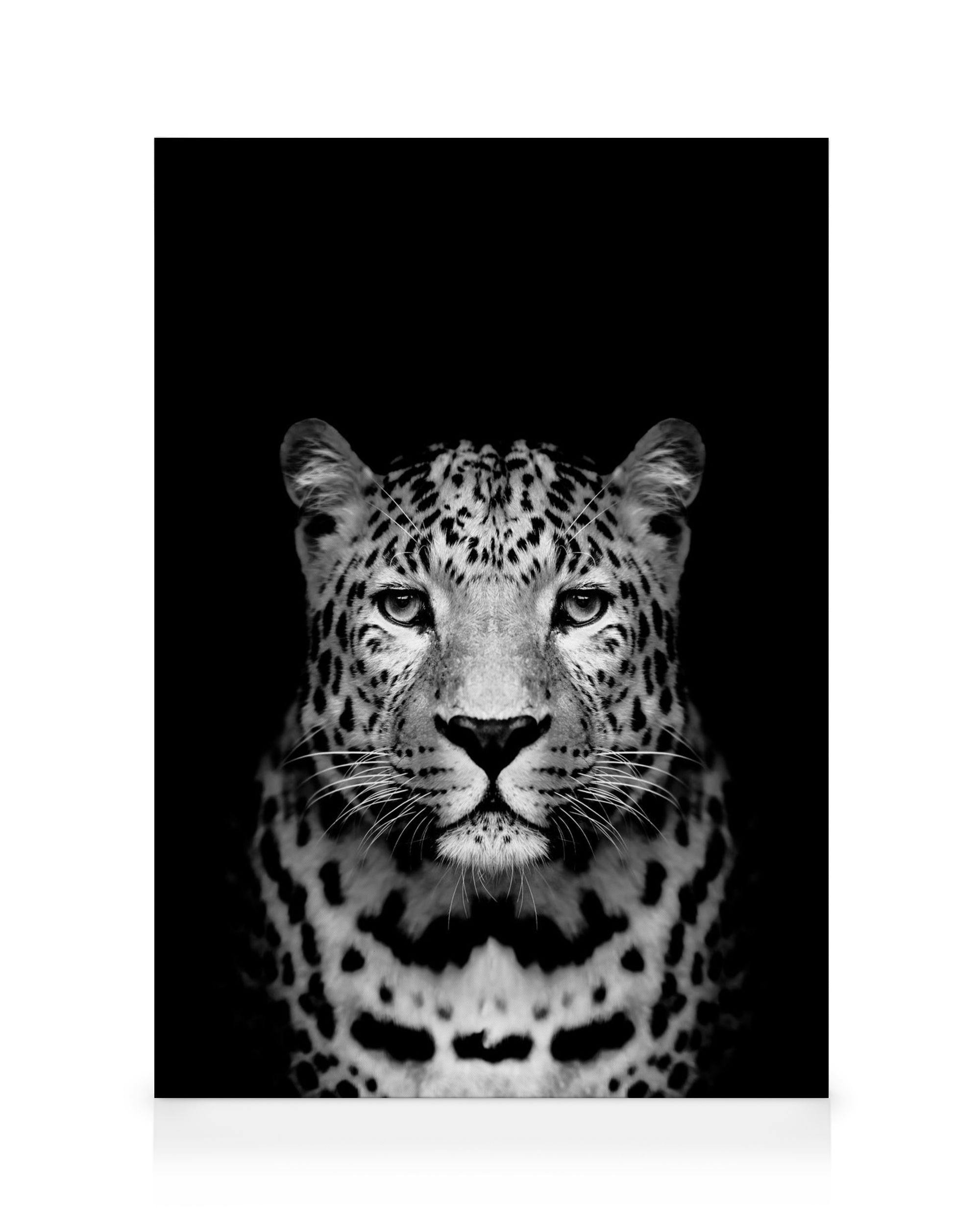 Toile léopard N&B (50x70 cm) - Poster Store