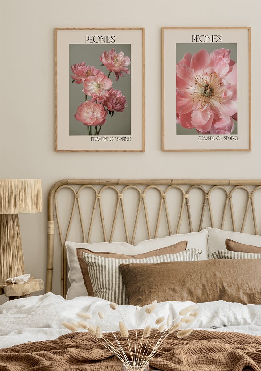 Pioenrozen Poster Pakket (50x70 cm) - Poster Store