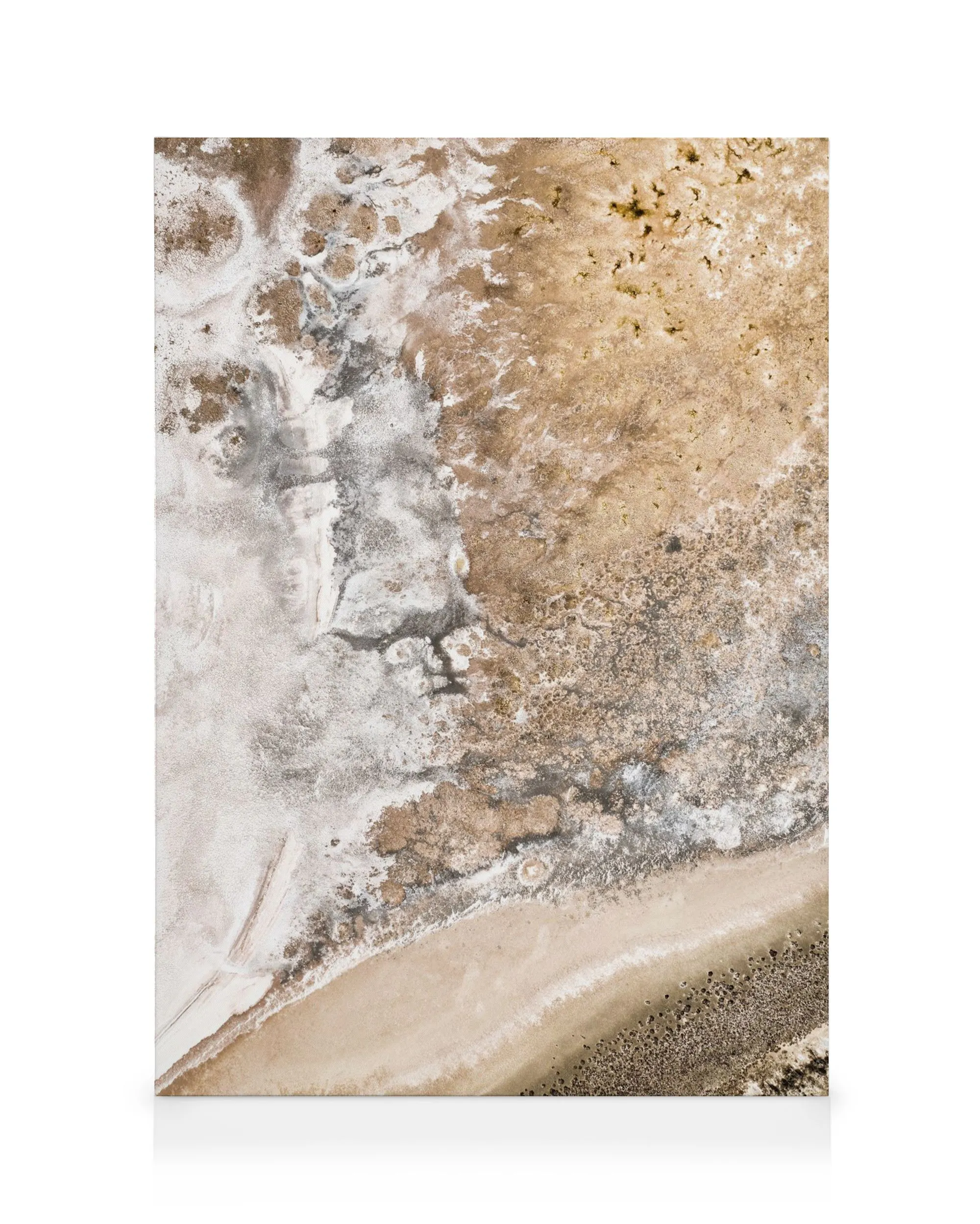Golden Salt Lake Canvas print 0