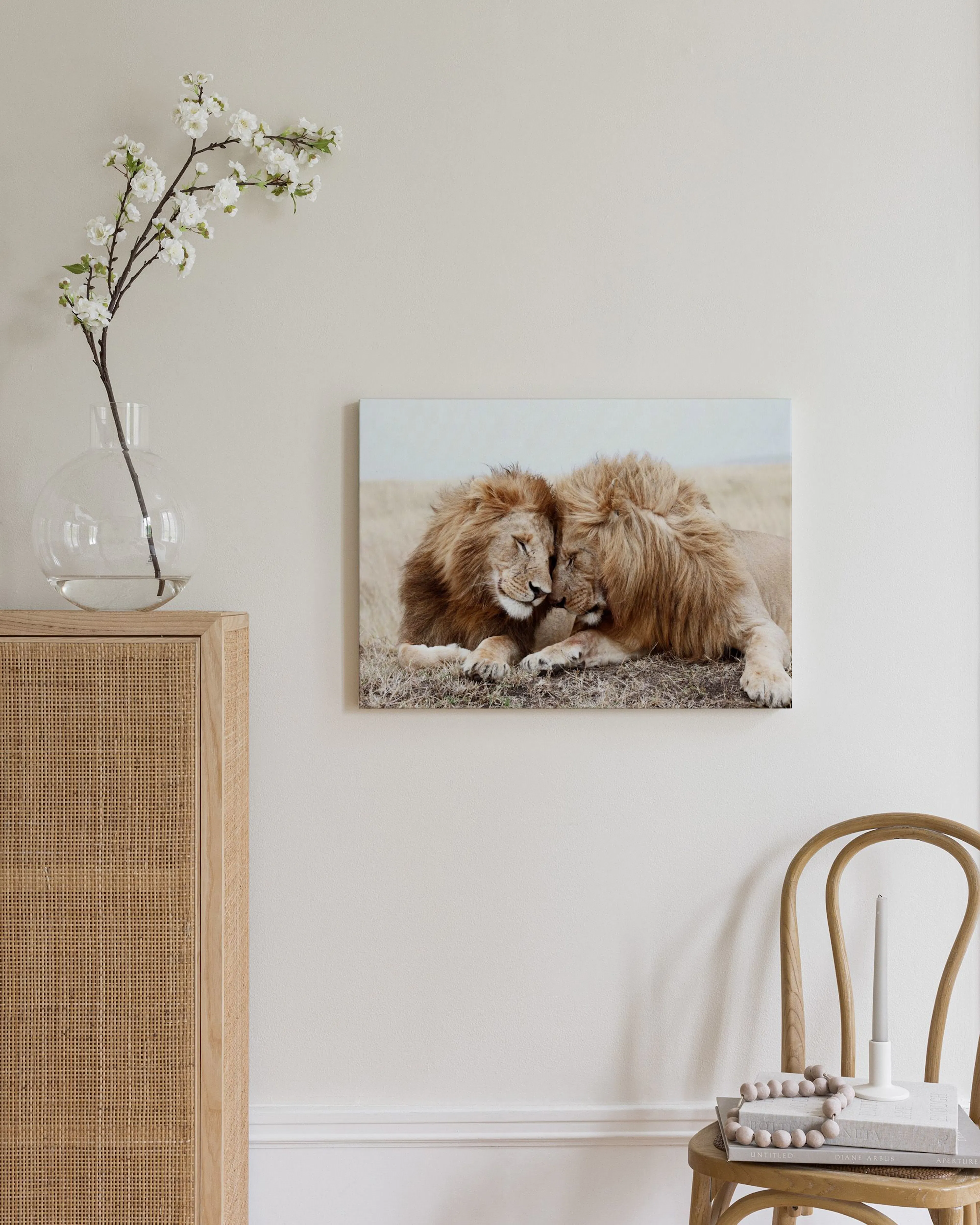 A canvas of two male lions nuzzling in a grassy plain, displayed on a light beige wall in a modern room.