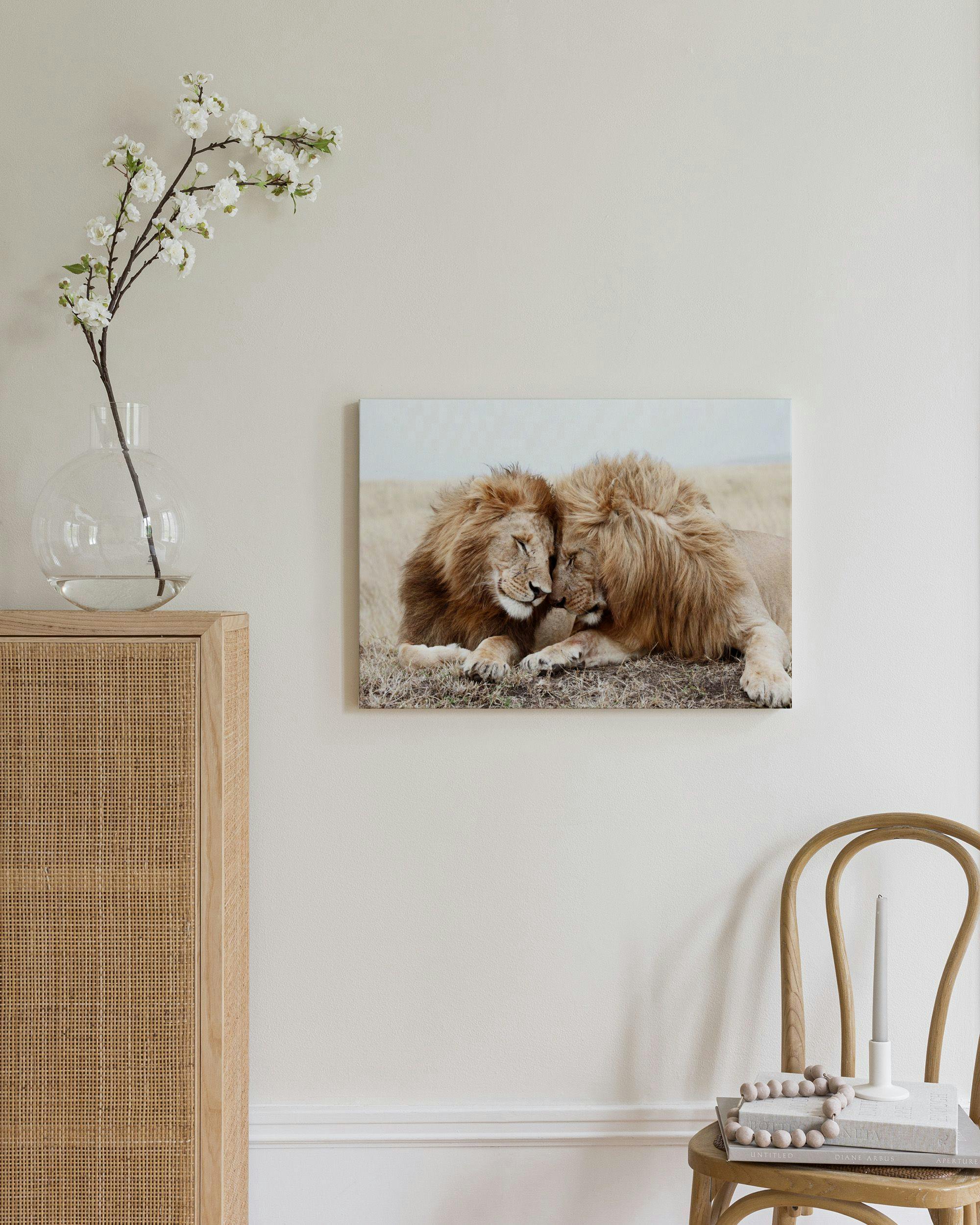 Canvas Prints - Lion Brothers Canvas print (30x40 cm) - Poster Store
