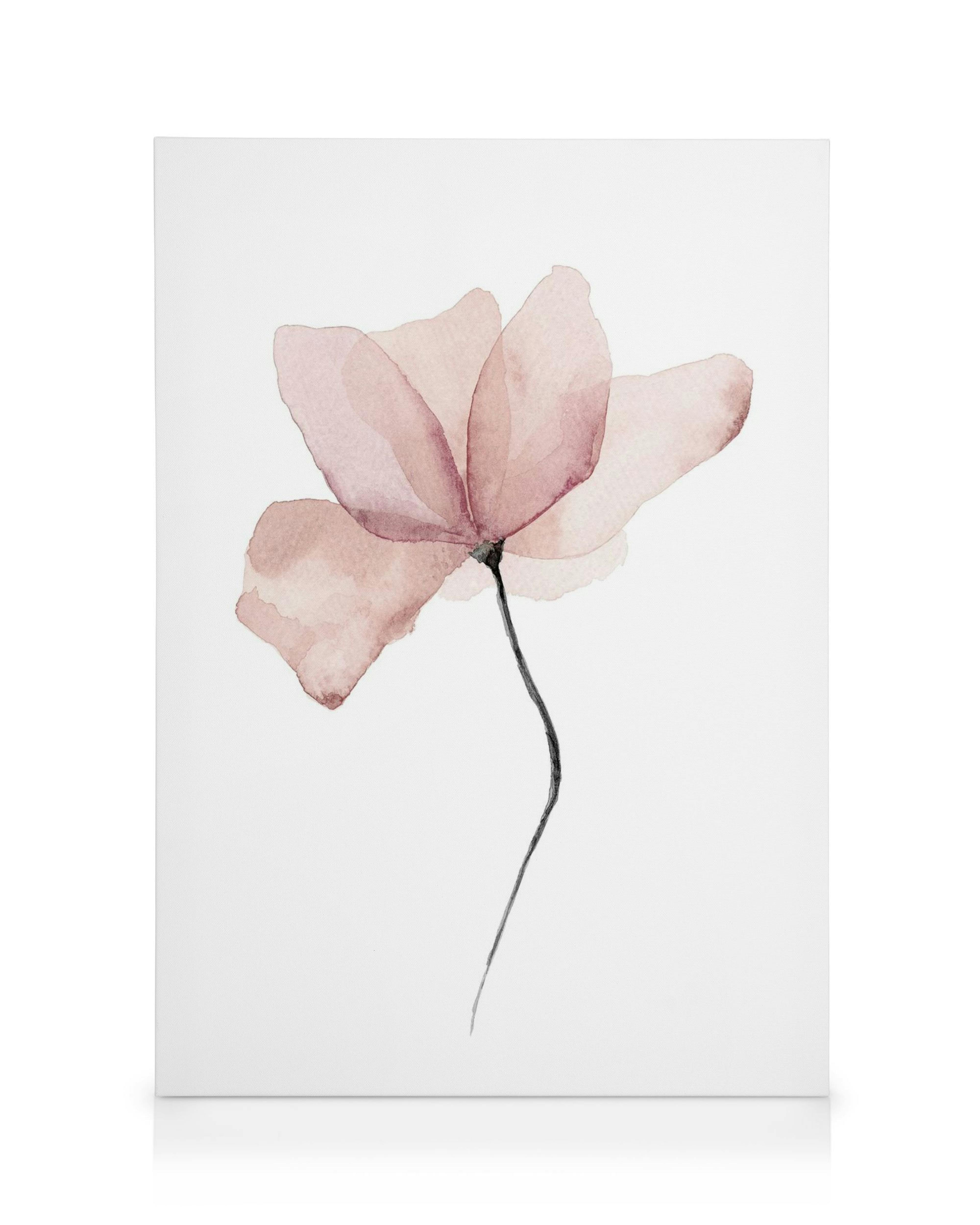 Lienzo Flores Acuarela 0