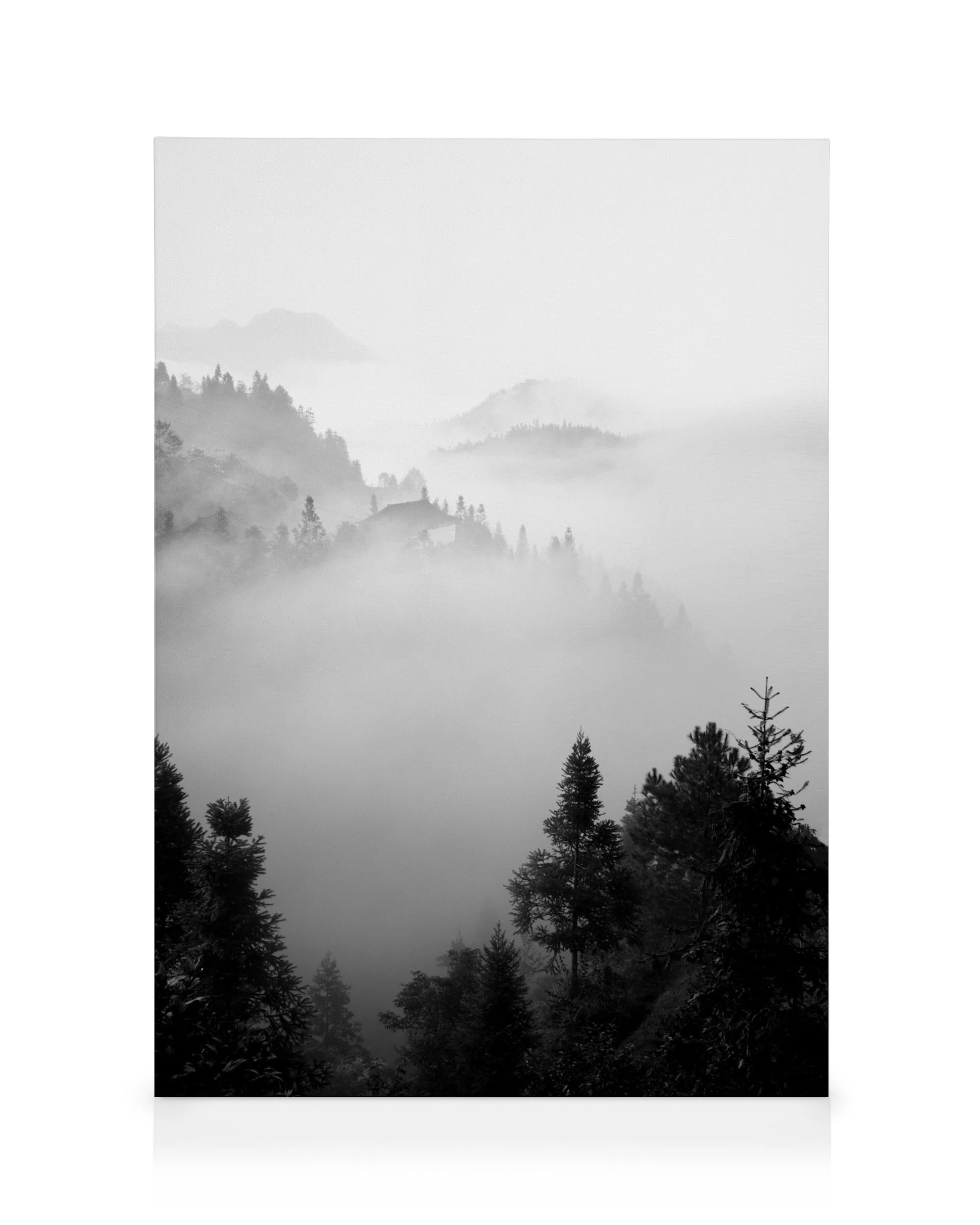The Morning Mist Canvas print 0