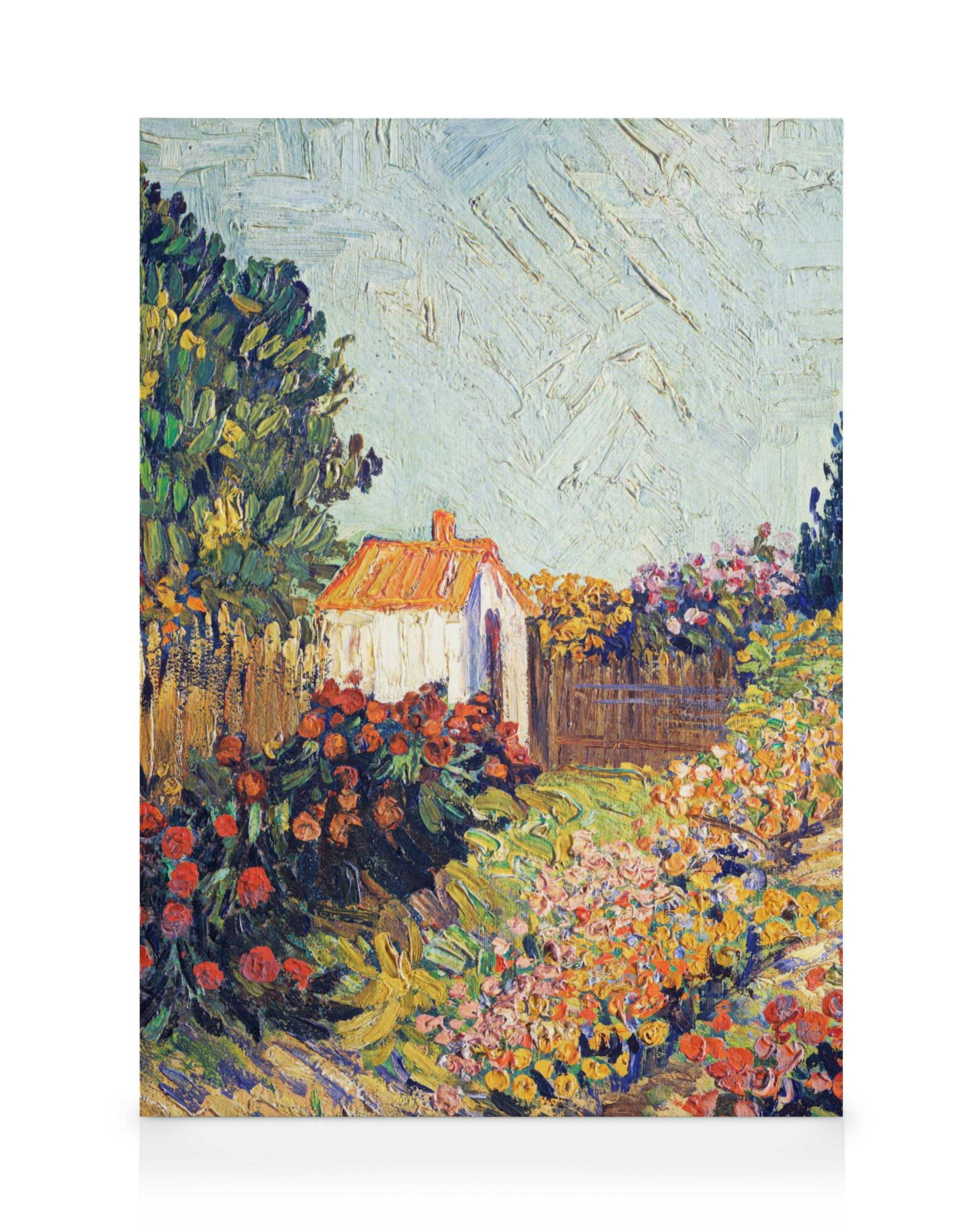 Schilderij van een kleurrijke cottage tuin met bloeiende rozenstruiken en een wit huisje, als canvas.