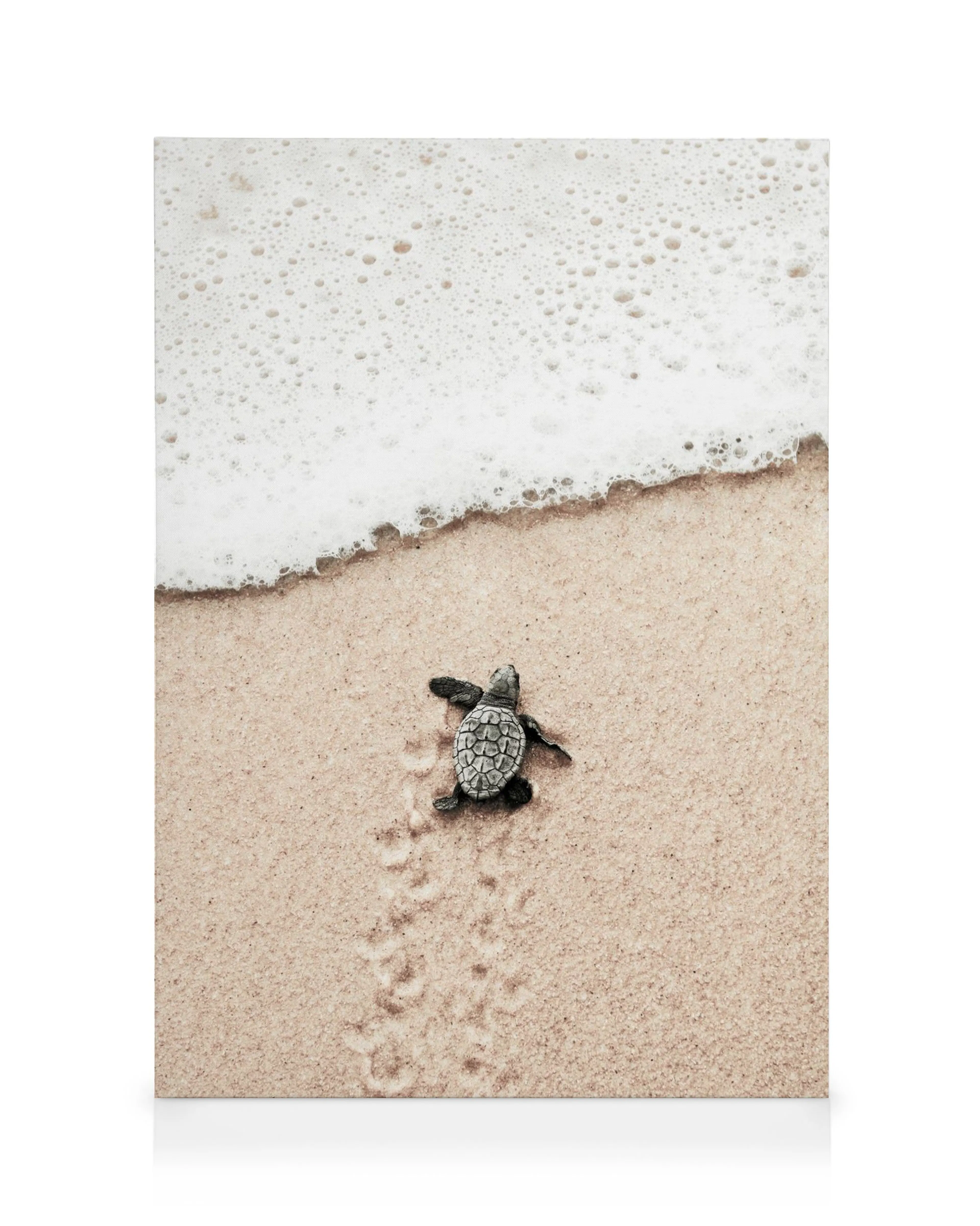 Ein Leinwandbild mit einer kleinen Meeresschildkröte, die sich auf beigem Sandstrand dem schäumenden Meer nähert.