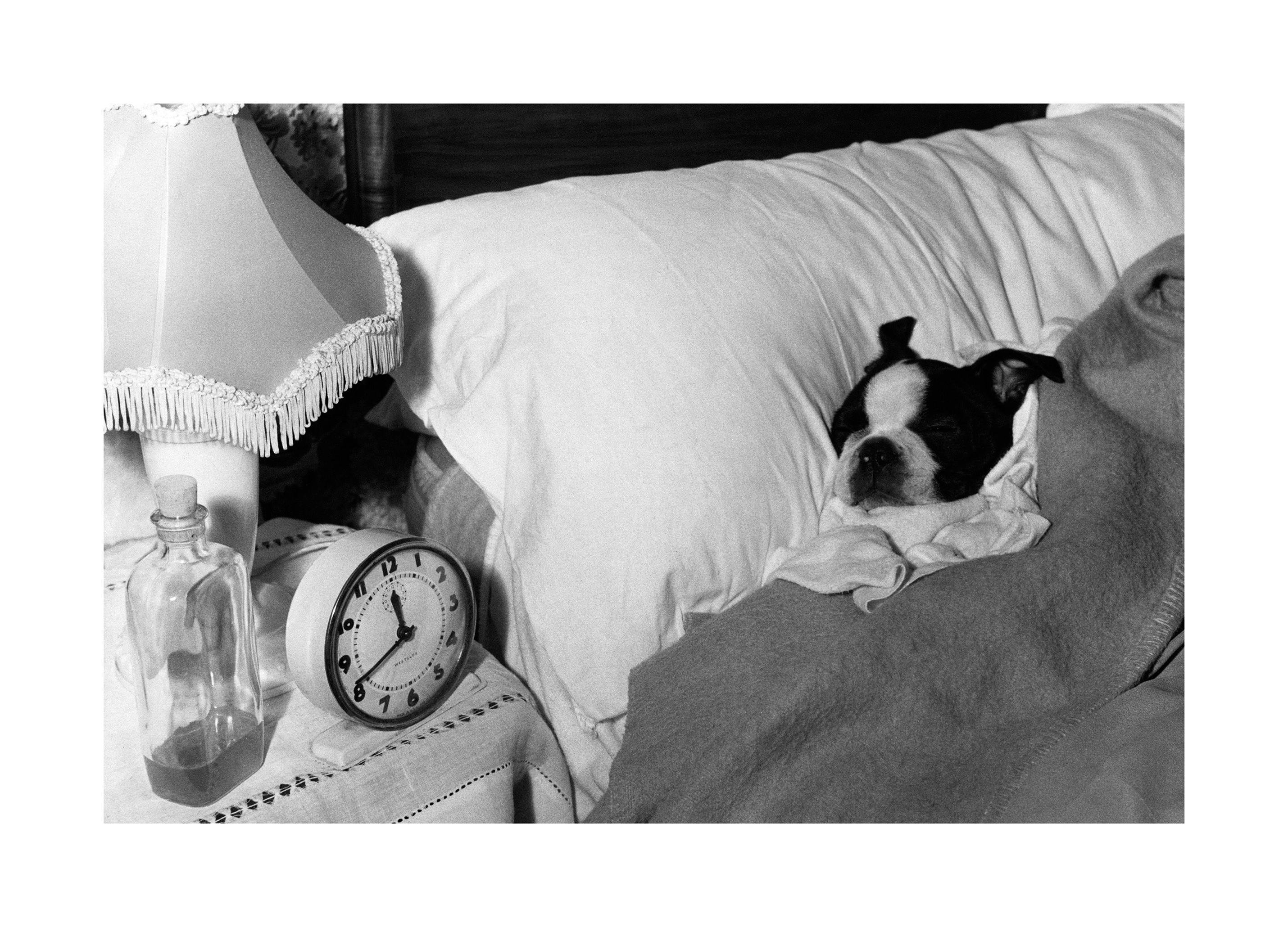 Heure de la Sieste Affiche - Poster Store