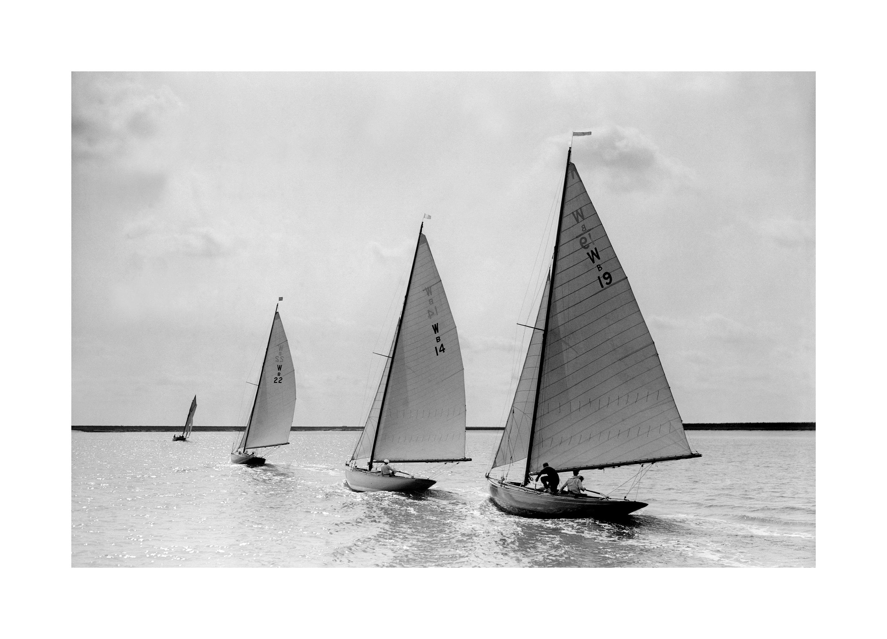 Racing Sailboats Poster (50x70 cm) - Poster Store