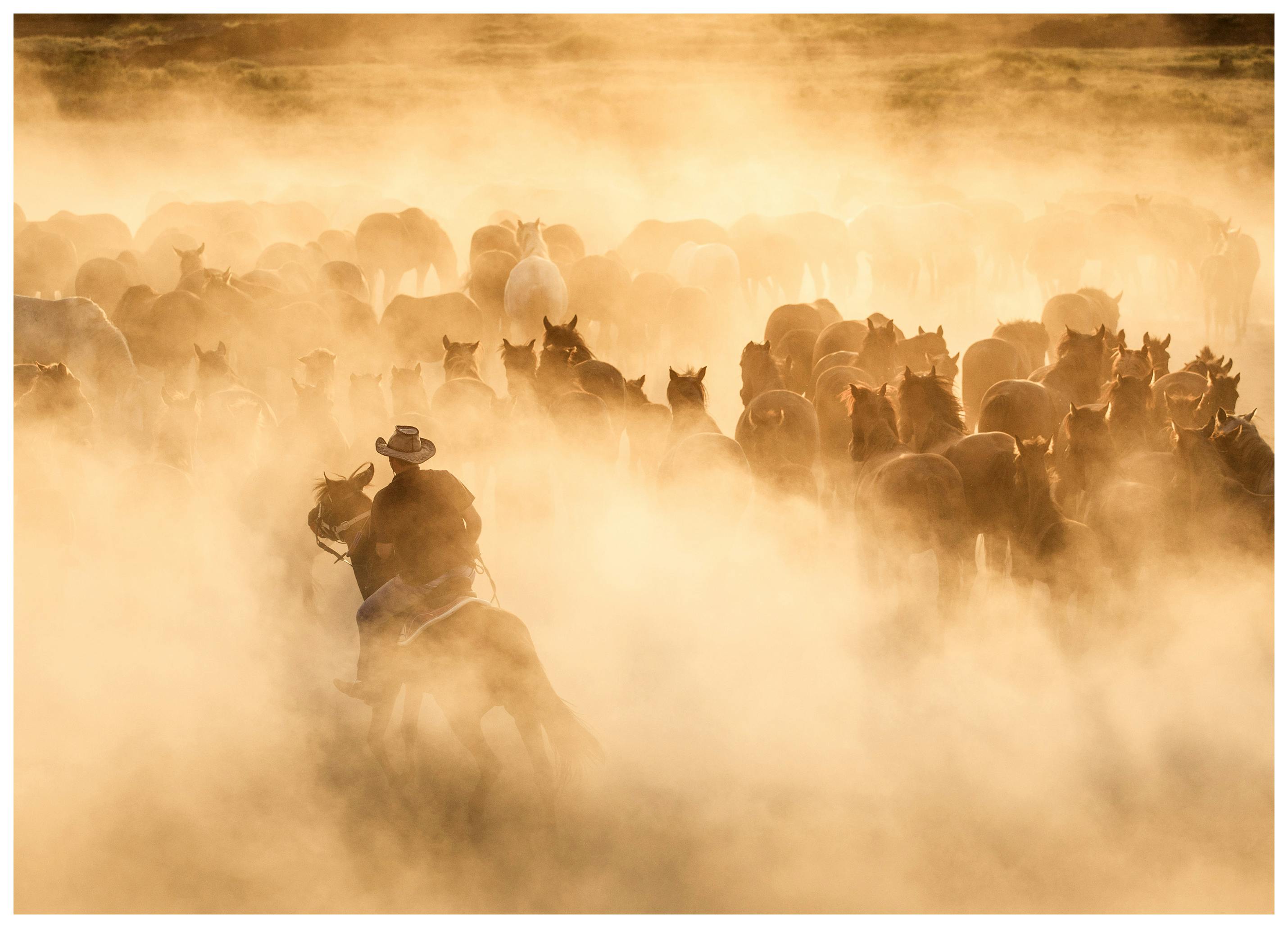Cowboy met Kudde Poster (21x30 cm) - Poster Store