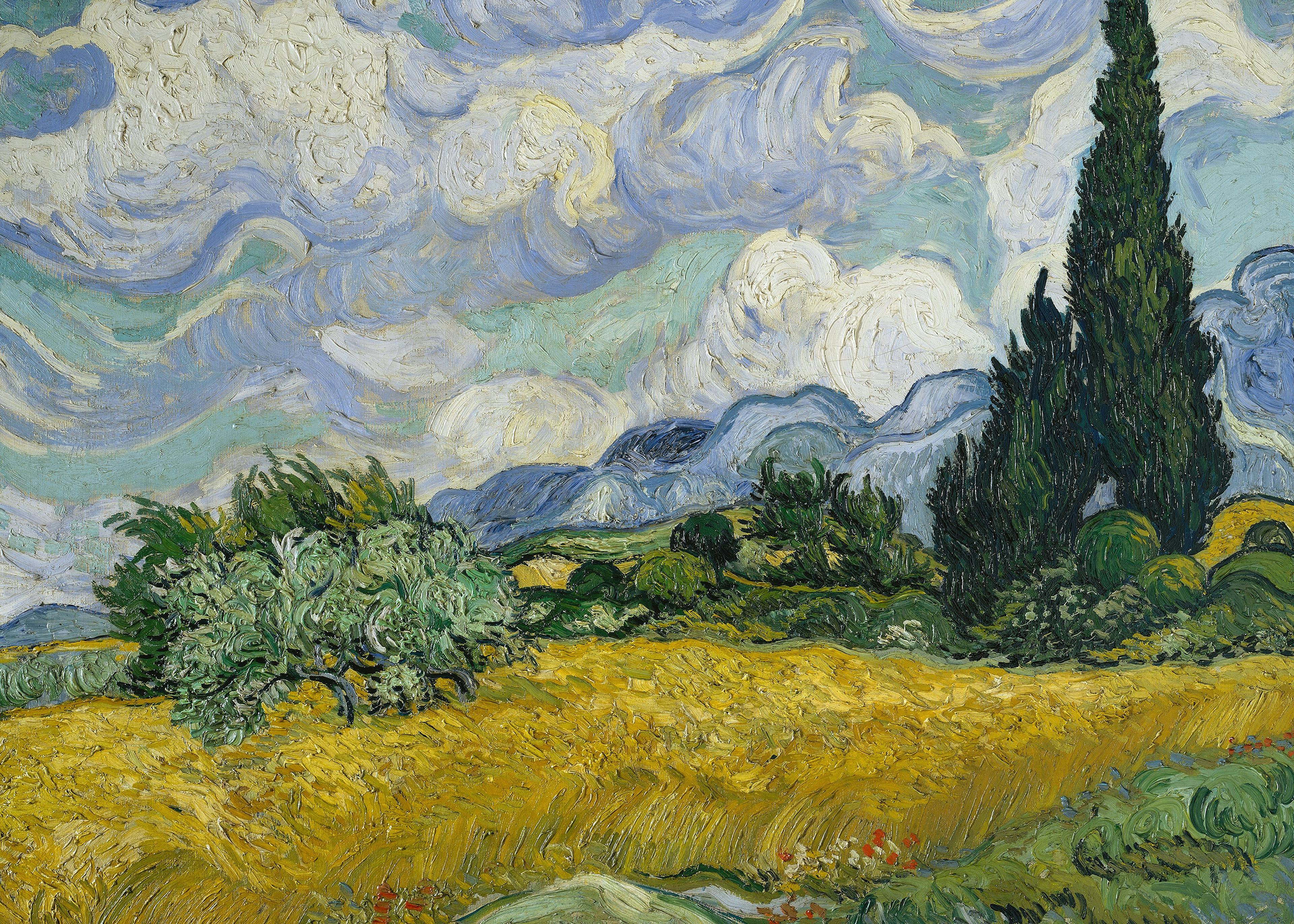 Vincent Van Gogh- Vehnäpelto Sypresseillä Juliste 0