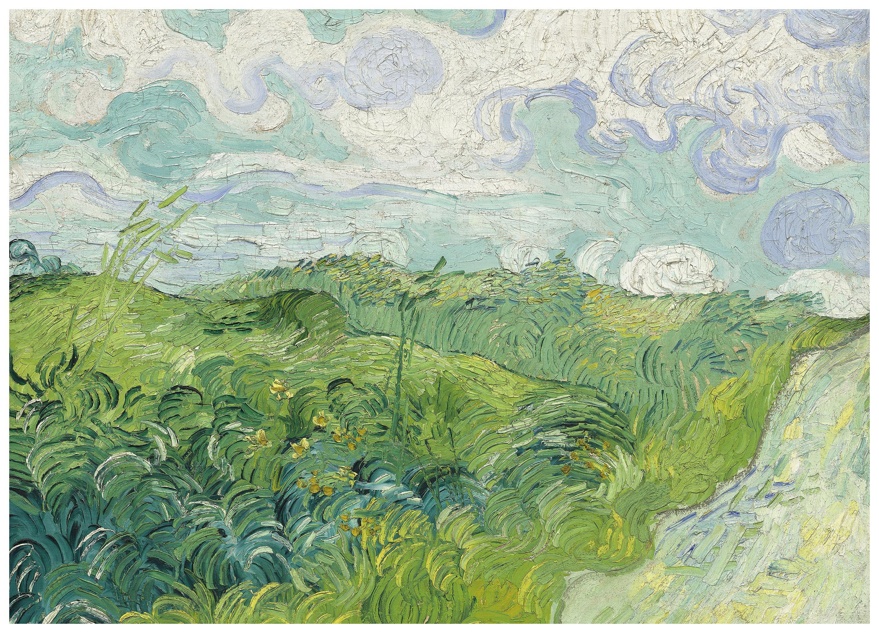 Vincent Van Gogh- Grønn Hveteåker Plakat (50x50 cm) - Poster Store