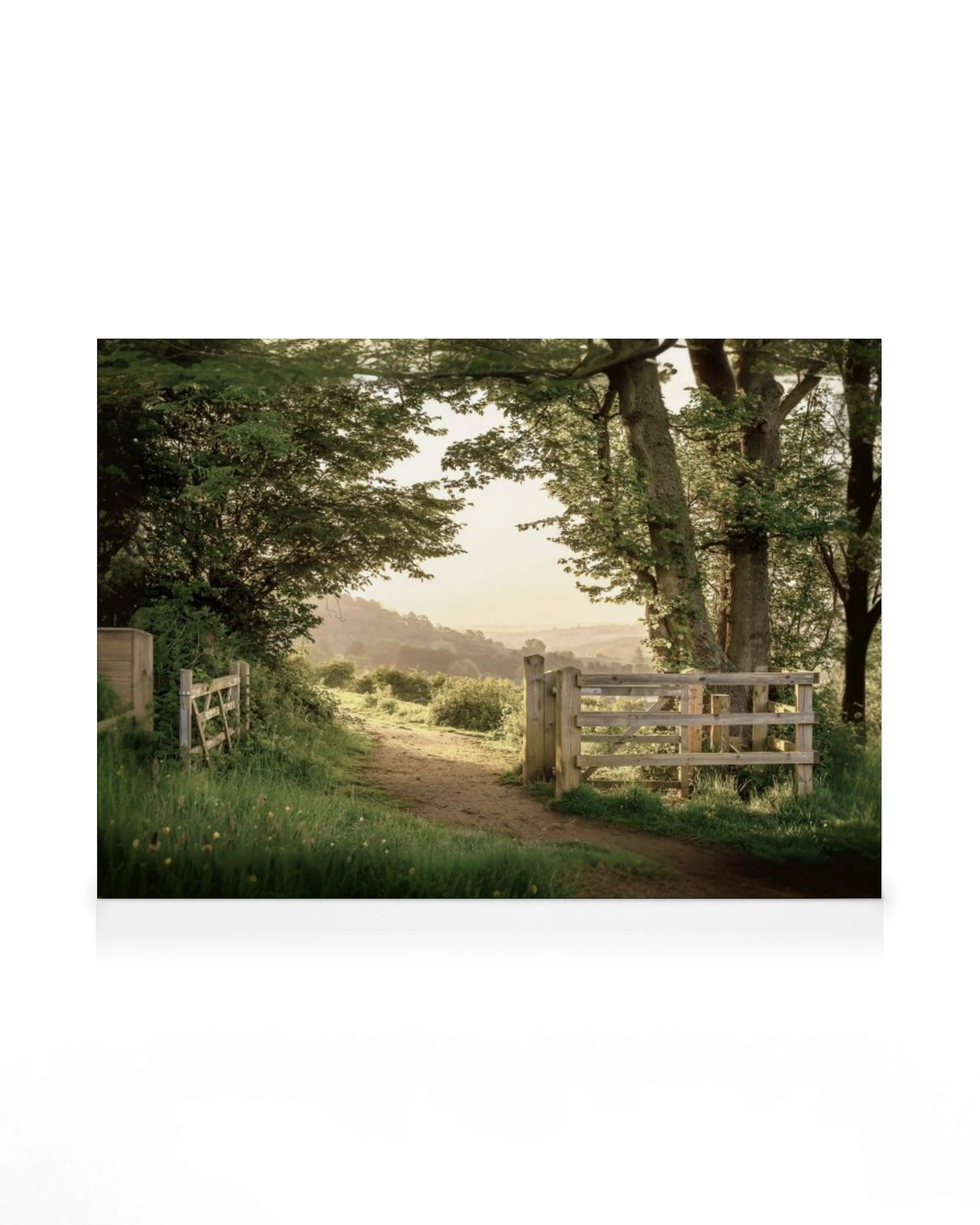 A canvas of a sunny path through a wooded area with two rustic wooden gates and rolling hills in the distance.