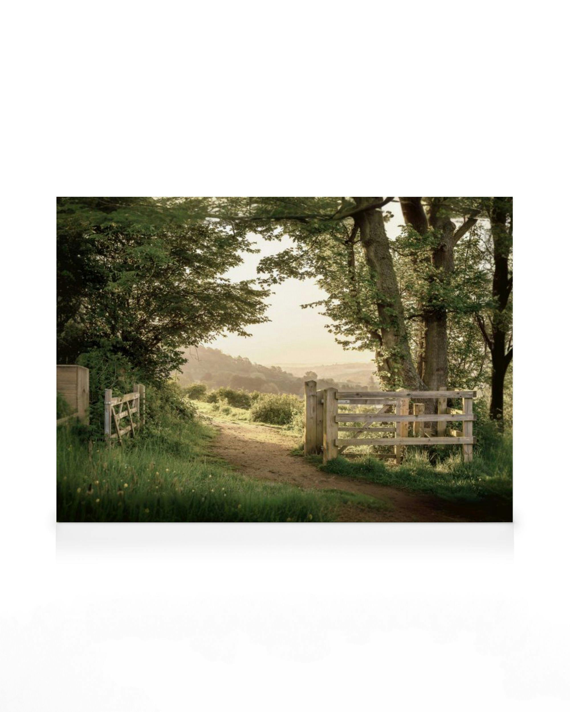 Zomerse Poort Canvas (50x70 cm - Fotokaders Eiken) - Poster Store