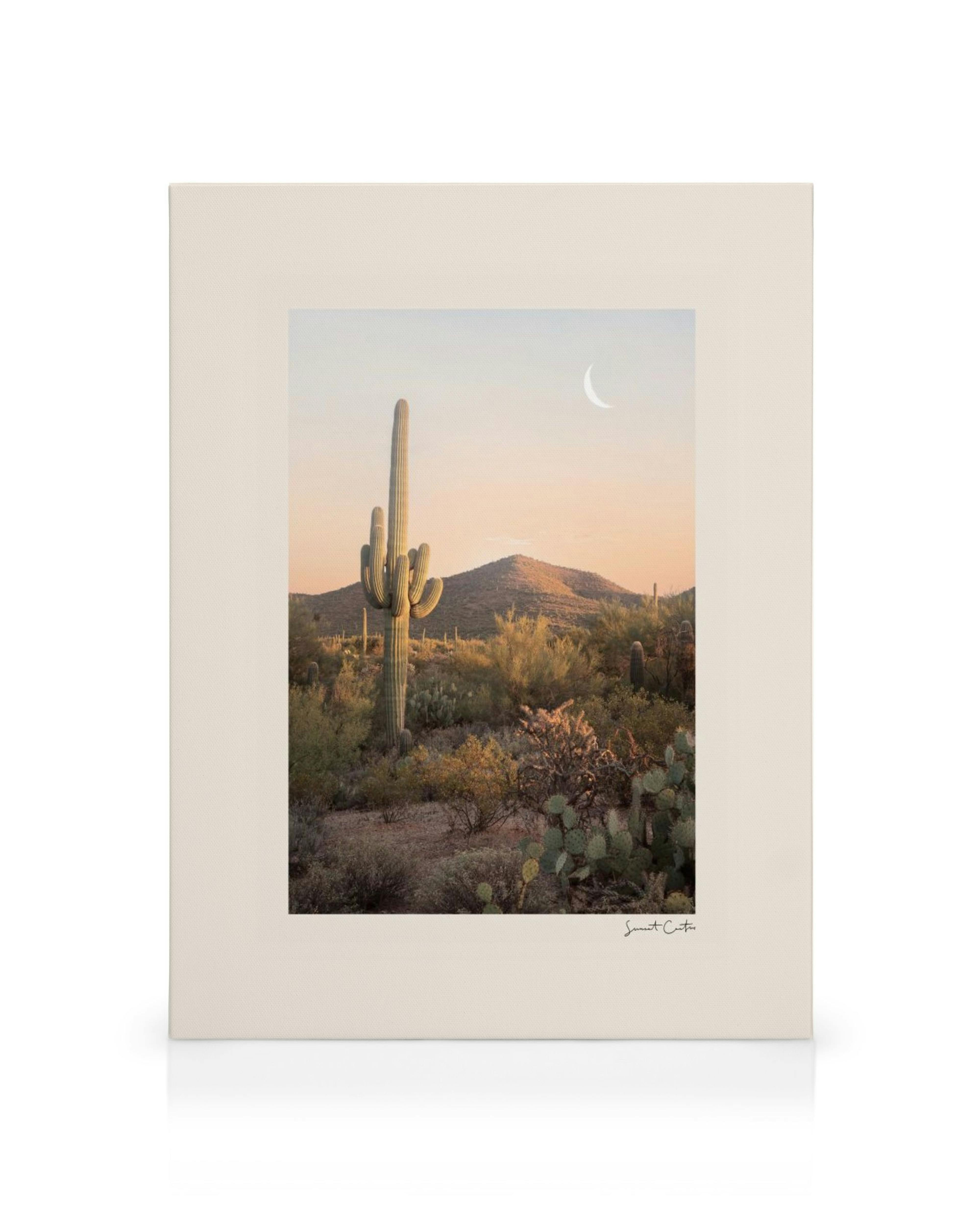 Lærred med ørkenlandskab, kaktusser, buske, bjerge og en halvmåne på en orange og lyseblå himmel.