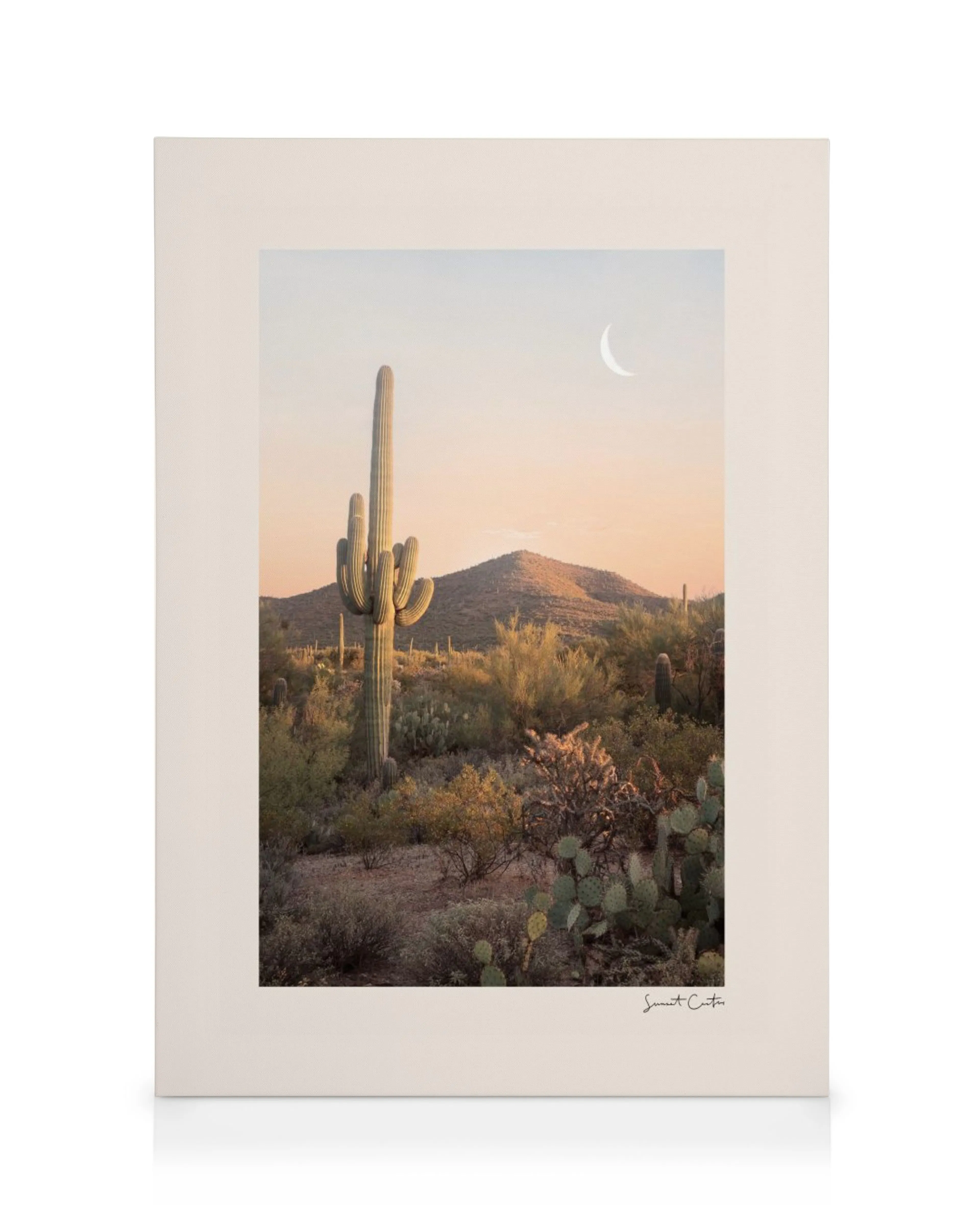 A desert landscape canvas featuring a tall saguaro cactus and a crescent moon in a peach sky.
