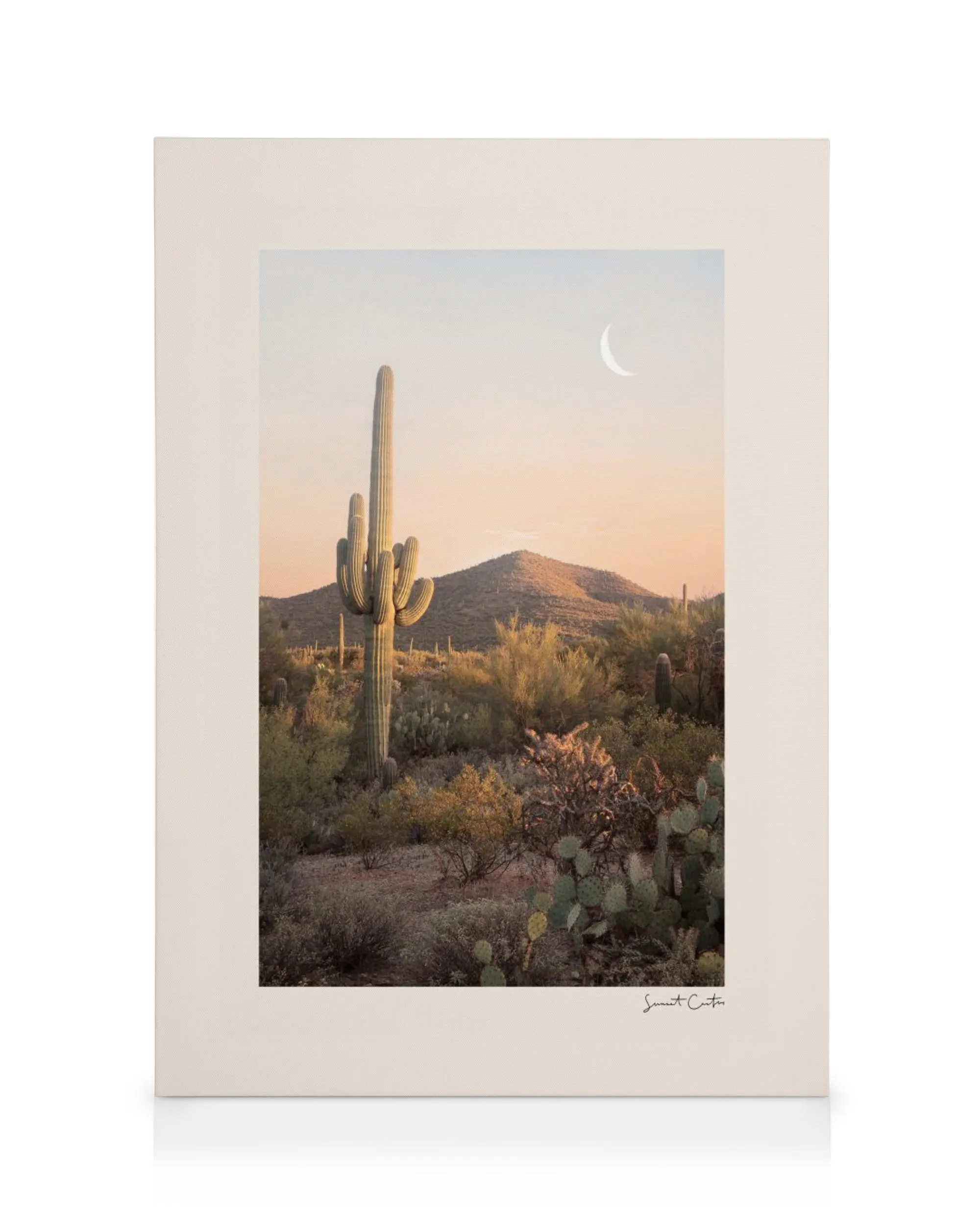 A desert landscape canvas with a tall saguaro cactus, various desert plants, and a crescent moon in a peach and blue sky.