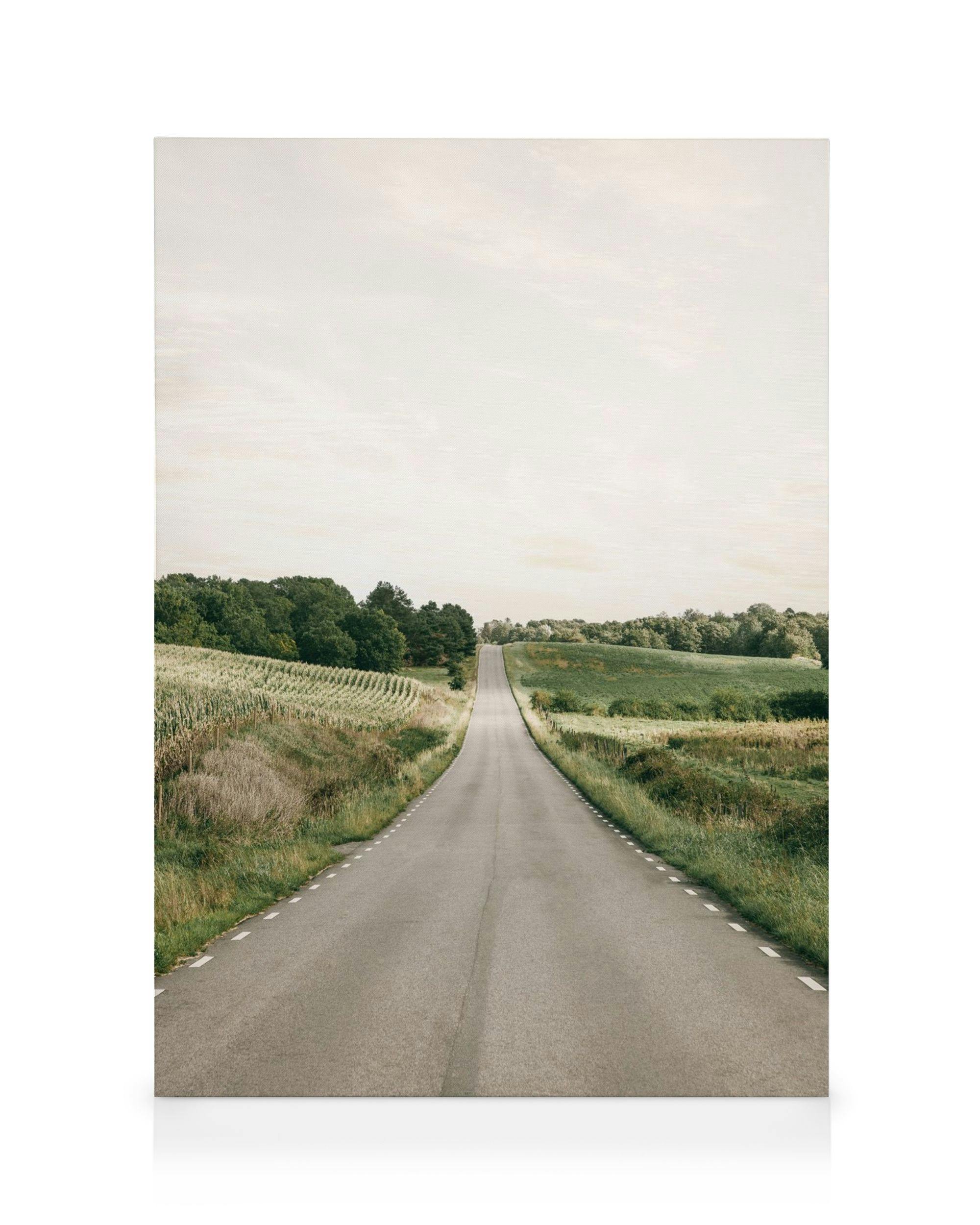 A canvas showing a long, grey road stretching into the distance through green fields and trees under a pale sky.